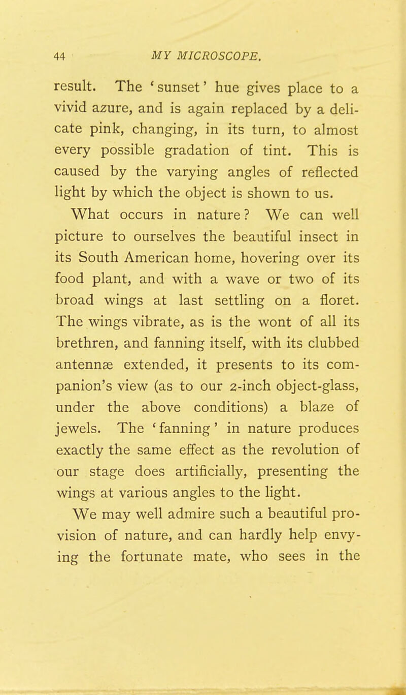 result. The ' sunset' hue gives place to a vivid azure, and is again replaced by a deli- cate pink, changing, in its turn, to almost every possible gradation of tint. This is caused by the varying angles of reflected light by which the object is shown to us. What occurs in nature ? We can well picture to ourselves the beautiful insect in its South American home, hovering over its food plant, and with a wave or two of its broad wings at last settling on a floret. The wings vibrate, as is the wont of all its brethren, and fanning itself, with its clubbed antennae extended, it presents to its com- panion's view (as to our 2-inch object-glass, under the above conditions) a blaze of jewels. The ' fanning' in nature produces exactly the same effect as the revolution of our stage does artificially, presenting the wings at various angles to the light. We may well admire such a beautiful pro- vision of nature, and can hardly help envy- ing the fortunate mate, who sees in the