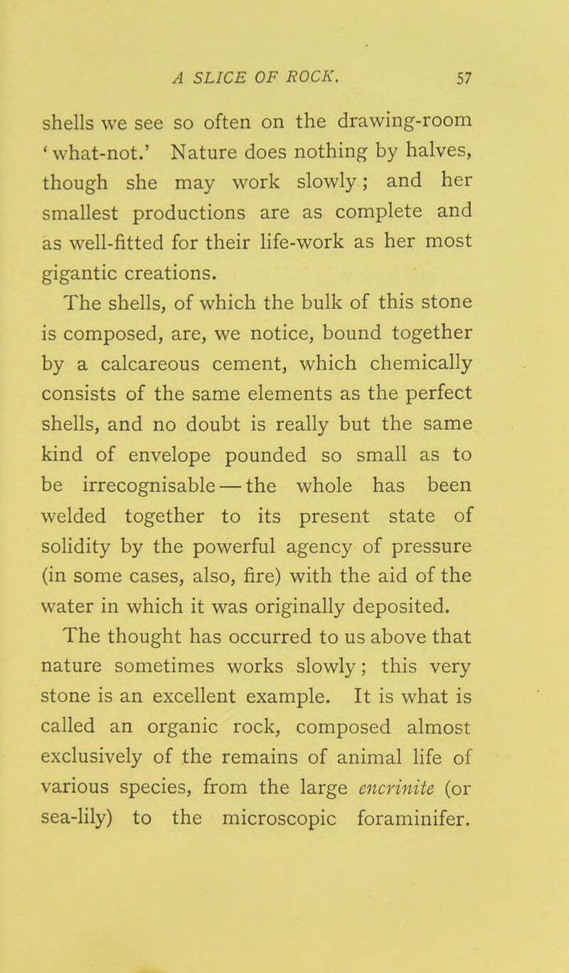 shells we see so often on the drawing-room 'what-not.' Nature does nothing by halves, though she may work slowly; and her smallest productions are as complete and as well-fitted for their Hfe-work as her most gigantic creations. The shells, of which the bulk of this stone is composed, are, we notice, bound together by a calcareous cement, which chemically consists of the same elements as the perfect shells, and no doubt is really but the same kind of envelope pounded so small as to be irrecognisable — the whole has been welded together to its present state of solidity by the powerful agency of pressure (in some cases, also, fire) with the aid of the water in which it was originally deposited. The thought has occurred to us above that nature sometimes works slowly; this very stone is an excellent example. It is what is called an organic rock, composed almost exclusively of the remains of animal Hfe of various species, from the large encrinite (or sea-lily) to the microscopic foraminifer.