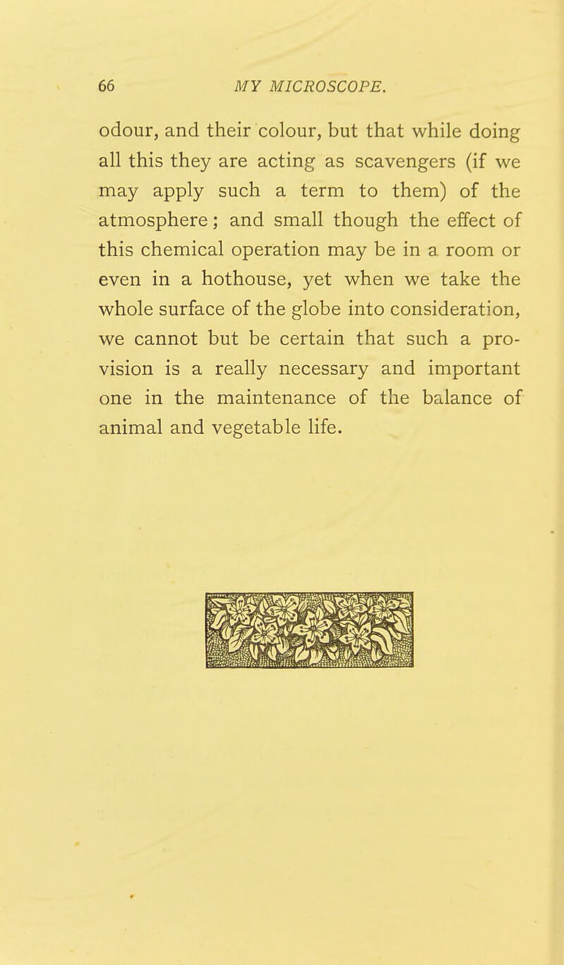 odour, and their colour, but that while doing all this they are acting as scavengers (if we may apply such a term to them) of the atmosphere; and small though the effect of this chemical operation may be in a room or even in a hothouse, yet when we take the whole surface of the globe into consideration, we cannot but be certain that such a pro- vision is a really necessary and important one in the maintenance of the balance of animal and vegetable life.