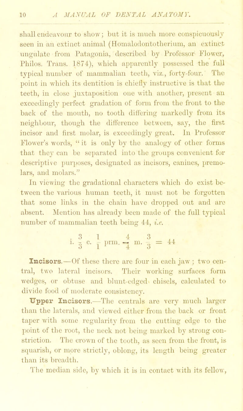 sliall eiidoiivour to show; but it is much more conspicuously seen in an extinct animal (Homalodoiitotherium, an extinct iingulatc from Patagonia, described by Professor Flower, Philos. Trans. 1874), which apparently possessed the full typical number of mammalian teeth, viz., forty-four. The point in Avhich its dentition is chiefly instructive is that the teeth, in close juxtaposition one with another, present an exceedingly perfect gradation of form from the front to the back of the mouth, uo tooth difl'ering markedly from its neighbour, though the difference between, say, the first incisor and first molar, is exceedingly great. In Professor Flower’s words, “ it is only by the analogy of other forms that the}' can be separated into the groups convenient for descriptive purposes, designated as incisors, canines, premo- lars, and molars.” In viewing the gradational characters which do exist be- tween the various human teeth, it must not be forgotten that some links in the chain have dropped out and are absent. Mention has already been made of the full tjijical number of mammalian teeth being 44, i.e. .31 4 3 ,, 1. :r c. - ])rm, — m. = 4-t 3 1 4 3 Incisors.—Of these there are four in each jaw ; two cen- tral, two lateral incisors. Their working surfaces form wedges, or obtuse and blunt-cdged chisels, calculated to divide food of moderate consistency. Upper Incisors.—The centrals are very much larger than the laterals, and viewed either from the back or front taper with some regularity from the cutting edge to the point of the root, the neck not being marked by strong con- striction. I’lie crown of the tooth, as seen from the front, is squarish, or more strictly, oblong, its length being greater than its breadth. 4'hc median side, by which it is in contact with its fellow,