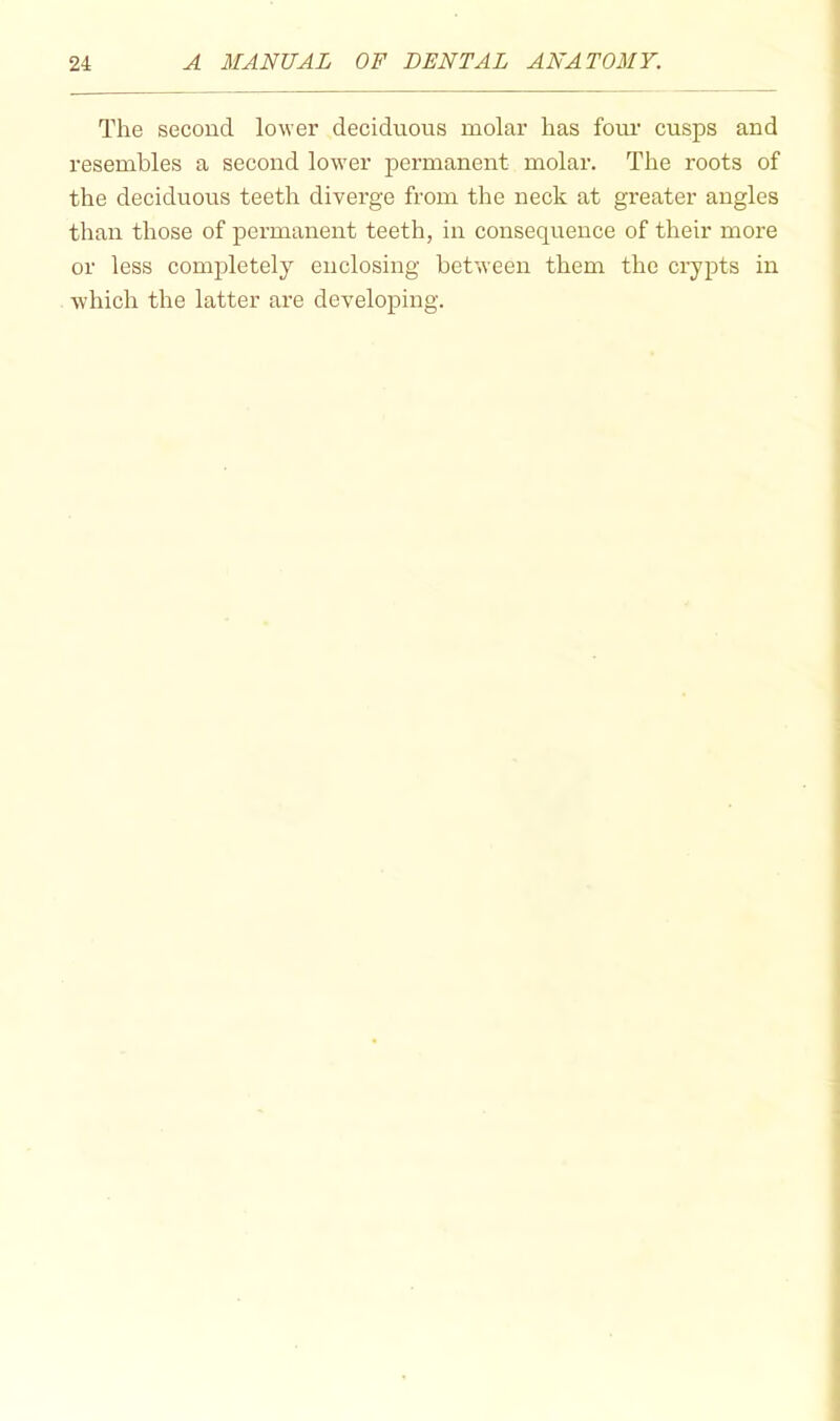 The second lower deciduous molar has fom' cusps and resembles a second lower permanent molar. The roots of the deciduous teeth diverge from the neck at greater angles than those of permanent teeth, in consequence of their more or less completely enclosing between them the crypts in which the latter are developing.