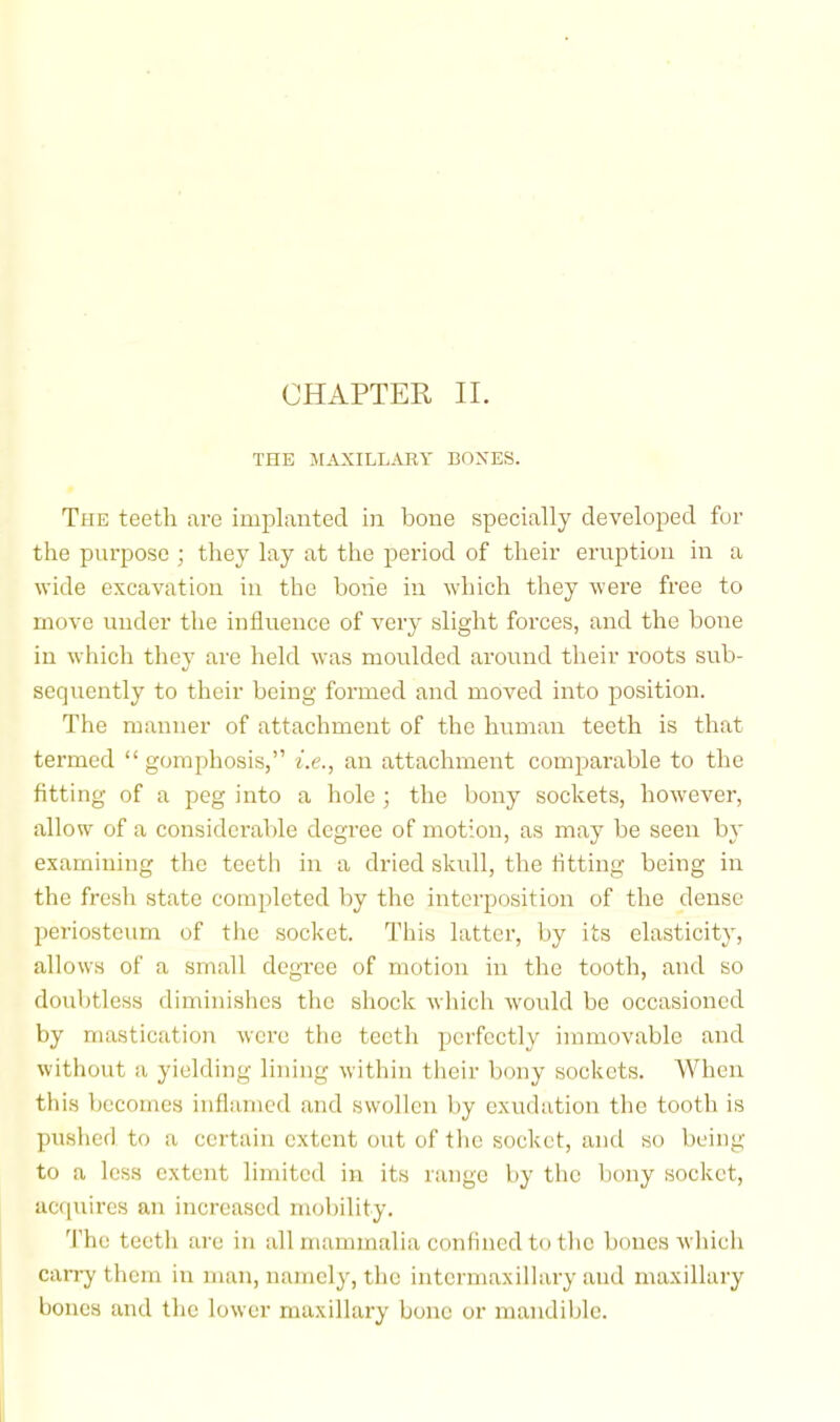 CHAPTER II. THE MAXILLARY BOXES. The teeth ai’e implanted in bone specially developed for the purpose ; they lay at the period of their eruption in a wide excavation in the boiie in which they were free to move under the influence of very slight forces, and the bone in which they are held was moulded around their roots sub- sequently to their being formed and moved into position. The manner of attachment of the human teeth is that termed “ gomphosis,” i.e., an attachment comparable to the fitting of a peg into a hole ; the bony sockets, how’ever, allow of a considei’able degree of motion, as may be seen b^' examining the teeth in a dried skull, the fltting being in the fresh state completed by the interposition of the dense periosteum of the socket. This latter, by its elasticity, allows of a small degree of motion in the tooth, and so doubtless diminishes the shock which would be occasioned by mastication were the teeth perfectly immovable and without a yielding lining within their bony sockets. When this becomes inflamed and swollen by exudation the tooth is pushed to a certain extent out of the socket, and so being to a less extent limited in its range by the bony socket, aciiuires an increased mobility. 'I’he teeth are in all mammalia confined to tlic bones which can-y them in man, namely, the intermaxillary and maxillary bones and the lower maxillary bone or mandible.