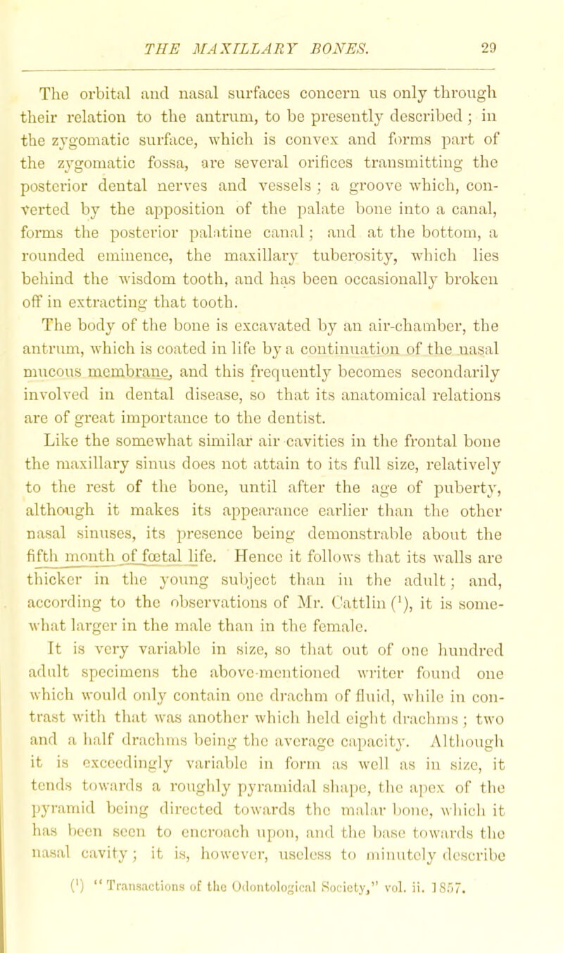 The orbital and nasal surfaces concern us only through their relation to the antrum, to be presently described ; in the zygomatic surface, which is convex and forms part of the zygomatic fossa, are several orifices transmitting the posterior dental nerves and vessels ; a groove which, con- verted by the apposition of the palate bone into a canal, forms the posterior palatine canal; and at the bottom, a rounded eminence, the maxillaiy tuberosity, which lies behind the wisdom tooth, and has been occasionally broken off in extracting that tooth. The body of the bone is excavated by an air-chamber, the antrum, which is coated in life by a continuation of the nasal mucous membranej and this frequently becomes secondarily involved in dental disease, so that its anatomical relations are of great importance to the dentist. Like the somewhat similar air cavities in the frontal bone the maxillary sinus does not attain to its full size, relatively to the rest of the bone, until after the age of puberty, although it makes its appearance earlier than the other nasal sinuses, its presence being demonstrable about the fifth month of foetal life. Hence it follows that its walls are thicker in the young subject than in the adult; and, according to the observations of Mr. Cattlin ('), it is some- what larger in the male than in the female. It is very variable in size, so that out of one hundred adult specimens the above-mentioned writer found one which would only contain one drachm of fluid, while in con- trast with that was another which held eight drachms; two and a half drachms being the average capacity. Although it is exceedingly variable in form as well as in size, it tends towards a roughly pyramidal .shape, the a])cx of the pyramid being directed towards the malar bone, which it has been seen to encroach upon, and the base towards the nasal cavity; it is, however, useless to minutely describe (') “ Trans.'ictions of the Uilontologic.al Society,” vol. ii. IS.'n.