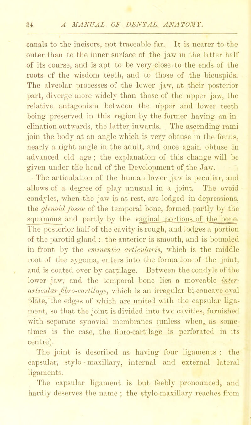 canals to the incisors, not traceable far. It is nearer to the outer than to the inner surface of the jaw in the latter half of its course, and is apt to be very close to the ends of the roots of the wisdom teeth, and to those of the bicuspids. The alveolar processes of the lower jaw, at their posterior part, diverge more widely than those of the upper jaw, the relative antagonism between the upper and lower teeth being preserved in this region by the former having an in- clination outwards, the latter inwards. The ascending rami join the bodj' at an angle which is very obtuse in the foetus, nearly a right angle in the adult, and once again obtuse in advanced old age ; the explanation of this change will be given under the liead of the Development of the Jaw. The articulation of the human lower jaw is peculiar, and allows of a degree of play unusual in a joint. The ovoid condyles, when the jaw is at rest, are lodged in depressions, the f/le7ioid fome of the temporal bone, formed parti}' by the squamous and partly by the vaginal portions of the bone. The posterior half of the cavity is rough, and lodges a portion of the parotid gland : the anterior is smooth, and is bounded in front by the e77iinei7tia m-ticularis, which is the middle root of the zygoma, enters into the formation of the joint, and is coated over by cartilage. Between the condyle of the lower jaw, and the temporal bone lies a moveable in(er- articvlar Jihro-cai'tilage, which is an irregular bi-concave oval plate, the edges of which arc united with the capsular liga- ment, so that the joint is divided into two cavities, furnished with separate synovial membranes (unless when,^ as some- times is the case, the fibro-cartilage is perforated in its centre). Tlic joint is described as having four ligaments : the capsidar, stylo - maxillary, internal and external lateral ligaments. The capsular ligament is but feebly pronounced, and hardly deserves the name ; the stylo-maxillary reaches from