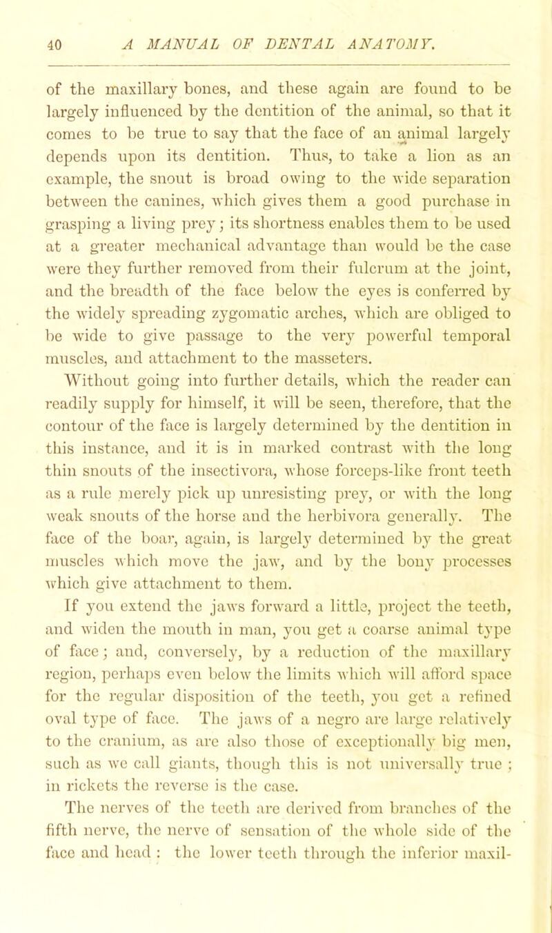 of the maxillary bones, and these again are found to be largely influenced by the dentition of the animal, so that it comes to be true to say that the face of an animal largely depends upon its dentition. Thus, to take a lion as an example, the snout is broad owing to the wide separation between the canines, which gives them a good purchase in grasping a living prey; its shortness enables them to be used at a greater mechanical advantage than would be the case were they further removed from their fulcrum at the joint, and the breadth of the face below the eyes is conferred by the widely spreading zygomatic arches, which are obliged to be wide to give passage to the very powerful temporal imiscles, and attachment to the masseters. Without going into further details, which the reader can readily supply for himself, it will be seen, therefore, that the contour of the face is largely determined by the dentition in this instance, and it is in marked conti'ast with the long thin snouts of the insectivora, whose forceps-like front teeth as a rule merely pick up unresisting prey, or with the long weak snouts of the horse and the herbivora generally. The face of the boar, again, is largel}' determined by the great muscles which move the jaw, and by the bony processes Avhich give attachment to them. If you extend the jaws forward a little, project the teeth, and widen the mouth in man, you get a coarse animal type of fiice; and, conversely, by a reduction of the maxillary region, perha])S even below the limits which will afford space for the regular disposition of the teeth, you get a refined oval type of face. The jaws of a negro are large relatively to the cranium, as arc also those of exceptionally big men, such as we call giants, though this is not universally true ; in rickets the reverse is the case. The nerves of the teeth are derived from branches of the fifth nerve, the nerve of sensation of the whole side of the face and head : the lower teeth through the inferior maxil-