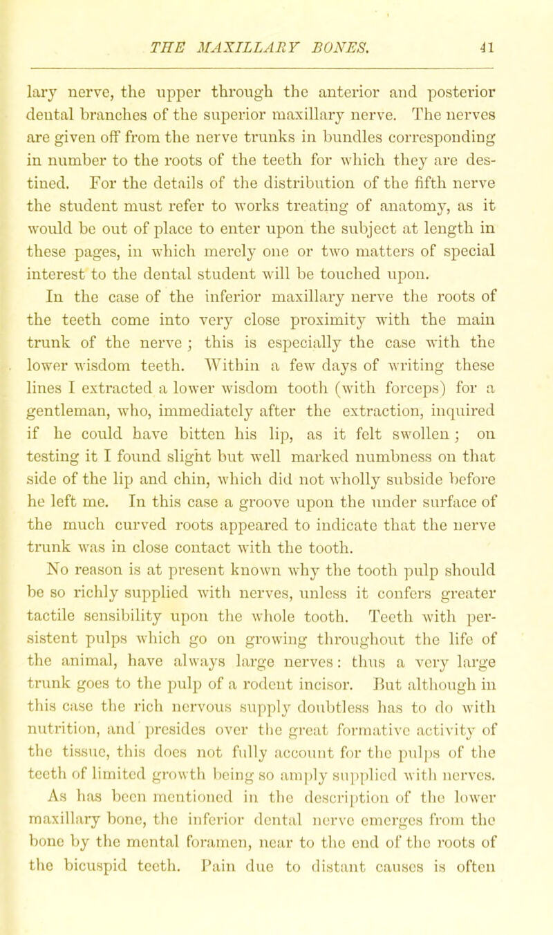 lary nerve, the upper through the anterior and posterior dental branches of the superior maxillary nerve. The nerves are given off from the nerve trunks in bundles corresponding in number to the roots of the teeth for which they are des- tined. For the details of the distribution of the fifth nerve the student must refer to works treating of anatomy, as it would be out of place to enter upon the subject at length in these pages, in which merely one or two matters of special interest to the dental student will be touched upon. In the case of the inferior maxillary nerve the roots of the teeth come into very close pi'oximity with the main trunk of the nerve ; this is especially the case with the lower wisdom teeth. Within a few days of writing these lines I extracted a lower wisdom tooth (with forceps) for a gentleman, who, immediately after the extraction, inquii’ed if he could have bitten his lip, as it felt swollen ; on testing it I found slight hut well marked numbness on that side of the lip and chin, which did not wholly subside before he left me. In this case a groove upon the under surface of the much curved roots appeared to indicate that the nerve tnink was in close contact with the tooth. No reason is at present known why the tooth pulp should be so I'ichly supplied with nerves, unless it confers greater tactile sensibility upon the whole tooth. Teeth with per- sistent pidps Avhich go on growing throughout the life of the animal, have always large nerves: thus a very large trunk goes to the pulp of a rodent incisor. Ilut although in this case the rich nervous supply doubtless has to do with nutrition, and j)rcsides over the groat formative activity of the tissue, this does not fully account for the pulps of the tooth of limited growth being so am]dy su])plicd with nerves. As has been mentioned in the description of the lower maxillary bone, the inferior dental nerve emerges from the bone by the mental foramen, near to the end oi‘ the roots of the bicuspid teeth. I’ain due to distant causes is often
