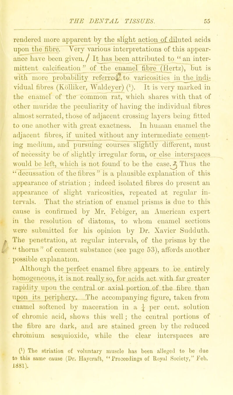 rendered more apparent by the slight action of diluted acids upon the fibre. Very various interpretations of this appear- ance have been given. / It has been attributed to “an inter- mittent calcification ” of the enamel fibre (Hertz), but is with more probability referre(2-to varicosities in thejndi- vidual fibres (Kblliker, Waldeyer) ('). It is very marked in the enamel of the common rat, which shares Avith that of other muridu! the peculiarity of having the individual fibres almost serrated, those of adjacent crossing layers being fitted to one another with groat exactness. In human enamel the adjacent fibres, if united without any intermediate cement- ing medium, and pursuing courses sUgEtly different, must of necessity be of slightly irregular form, or^else interspaces Avould be left, which is not found to be the case.^ Thus the “ decussation of the fibres ” is a plausible explanation of this appearance of striation ; indeed isolated fibres do present an appearance of slight Avaricosities, repeated at regular in- teiwals. That the striation of enamel prisms is dne to this cause is confirmed by Mr. Febiger, an American expert in the resolution of diatoms, to Avhom enamel sections Avero submitted for his opinion by Dr. Xavier Sudduth. The penetration, at regular intervals, of the prisms by the “ thorns ” of cement substance (see page 53), affords another possible explanation. Although thejperfect enamel fibre appears to be entirely homogeneous, it is not really so, for acids act Avith far greater rapidity upon the central or axial portion of the fibre than upon its periphery. The accompanying figure, taken from enamel softened by maceration in a per cent, solution of chromic acid, shows tliis Avell; the central portions of the fibre are dark, and are stained green by the reduced chromium scscpiioxide, Avhilc the clear interspaces arc (') The striation of voluntary muscle has been alleged to lie due to this same cause (Dr. llaycraft, “Proceedings of Royal Society,” Feb. 1881).