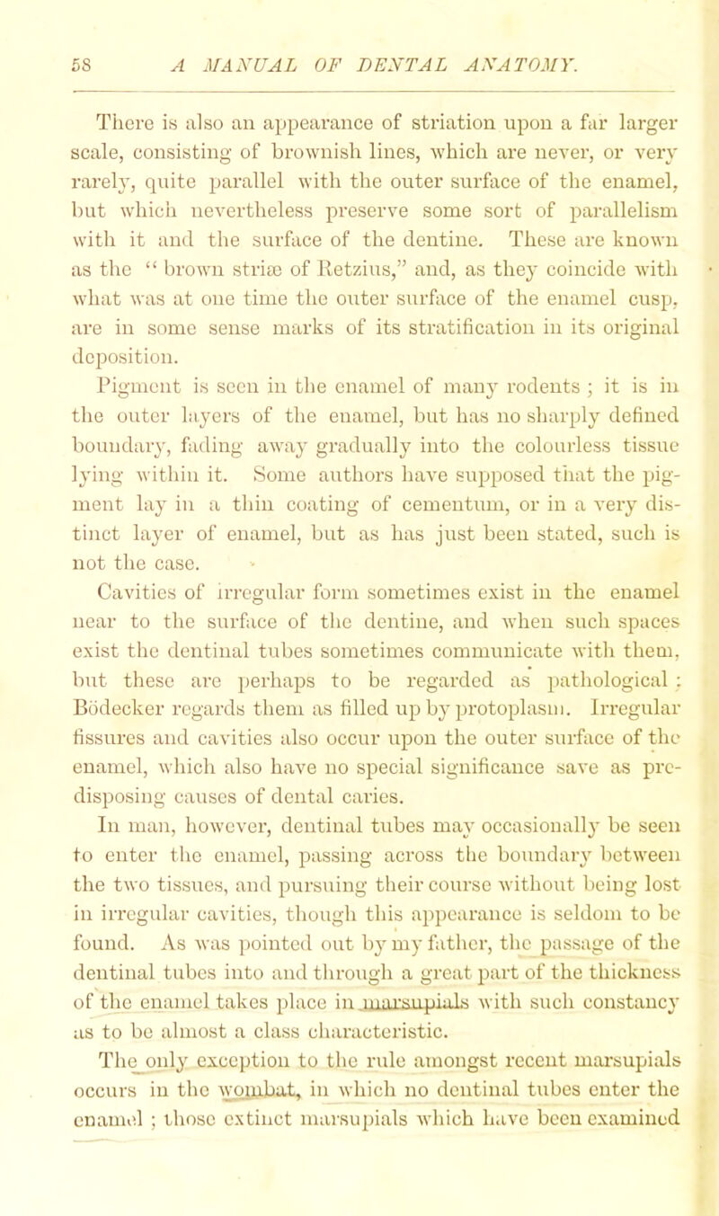 There is also an appearance of striation upon a far larger scale, consisting of brownish lines, which are never, or very rarely, quite parallel with the oiiter surface of the enamel, but which nevertheless preserve some sort of parallelism with it and the surface of the dentine. These are known as the “ brown stria) of lletzius,” and, as they coincide with what was at one time the outer surface of the enamel cusp, are in some sense marks of its stratification in its original deposition. Pigment is seen in the enamel of many rodents ; it is in the outer layers of the enamel, but has no sharply defined boundary, fading away gradually into the colourless tissue lying within it. Some authors have supposed that the pig- ment lay in a thin coating of cementnm, or in a very dis- tinct layer of enamel, but as has just been stated, such is not the case. Cavities of n-rcgular form sometimes exist in the enamel near to the surface of the dentine, and when such spaces exist the dentinal tubes sometimes communicate with them, but these are perhaps to be regarded as pathological ; Bodecker regards them as filled up by protoplasm. Irregular fissures and cavities also occur upon the outer surface of the enamel, which also have no special significance save as pre- disposing causes of dental caries. In man, however, dentinal tubes may occasionally be seen to enter the enamel, passing across the boundary between the two tissues, and pursuing their course without being lost in irregular cavities, though this appearance is seldom to be found. As was pointed out by my father, the passage of the dentinal tubes into and through a great part of the thickness of the enamel takes place in inarsnpiaLs with such constancy as to be almost a class characteristic. The only exception to the rule amongst recent mai’supials occurs in the wopibat, in which no dentinal tubes cuter the enamel ; those extinct marsupials which have been examined