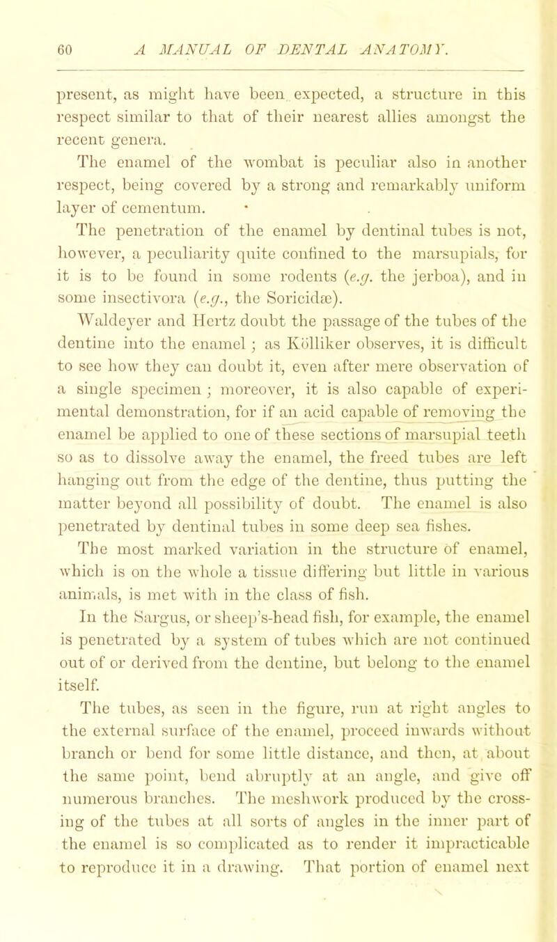 present, as might have been expected, a structure in this respect similar to that of their nearest allies amongst the recent genera. The enamel of the vombat is peculiar also in another respect, being covered by a strong and remarkably uniform layer of cementum. The penetration of the enamel by dentinal tubes is not, however, a peculiarity quite confined to the marsupials, for it is to be found in some rodents {e.g. the jerboa), and in some insectivora {e.g., the Soricida)). Waldeyer and Hertz doubt the passage of the tubes of the dentine into the enamel ; as Kblliker observes, it is difficult to see how they can doubt it, even after mere observation of a single specimen ; moreover, it is also capable of experi- mental demonstration, for if an acid capable of removing the enamel be applied to one of these sections of marsupial teeth so as to dissolve away the enamel, the freed tubes are left hanging out from the edge of the dentine, thus putting the matter beyond all possibility of doubt. The enamel is also penetrated by dentinal tubes in some deep sea fishes. The most marked variation in the structure of enamel, which is on the whole a tissue differing but little in various animals, is met with in the class of fish. In the Sargus, or sheep’s-head fish, for examjjle, the enamel is penetrated by a system of tubes Avhich are not continued out of or derived from the dentine, but belong to the enamel itself. The tubes, as seen in the figure, run at right angles to the external surface of the enamel, proceed inwards without branch or bend for some little distance, and then, at about the same point, bend abruptly at an angle, and give off numerous branches. The meshwork produced by the cross- ing of the Hibes at all sorts of angles in the inner part of the enamel is so complicated as to render it impracticable to reproduce it in a drawing. That portion of enamel next