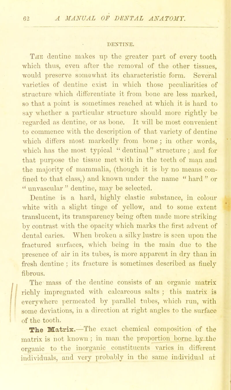 DENTINE. The dentine make.s up the greater part of evei’y tooth which thus, even after the removal of the other tissues, Avould preserve somewhat its characteristic form. Several vai’ieties of dentine exist in which those peculiarities of structure which differentiate it from hone are less marked, BO that a point is sometimes reached at which it is hard to say whether a particular structure should more rightly be regarded as dentine, or as bone. It will be most convenient to commence with the description of that variety of dentine which differs iDost markedly from bone ; in other woi'ds, which has the most typical “dentinal” structure ; and for that piu’pose the tissue met with in the teeth of man and the majority of mammalia, (though it is by no means con- fined to that class,) and known under the name “ hard ” or “ unvascular ” dentine, may be selected. Dentine is a hard, highly elastic substance, in colour white wdth a slight tinge of yellow', and to some extent ti'anslucent, its transparency being often made more striking by contrast with the opacity which marks the first advent of dental caries. AVhen broken a silkj' lustre is seen upon the fractured surfaces, which being in the main due to the presence of air in its tubes, is more apparent in dry than in fresh dentine ; its fractiu’e is sometimes described as finely fibrous. The mass of the dentine consists of an organic matrix richly impregnated wdtli calcareous salts ; this matrix is everywhere permeated by ])arallel tubes, which run, witli some deviations, in a direction at riglit angles to the surface of the tooth. The Matrix.—The exact chemical composition of the matrix is not known ; in man the proportion borne by the organic to the inorganic constituents varies in different individuals, and very probably in the same individual at