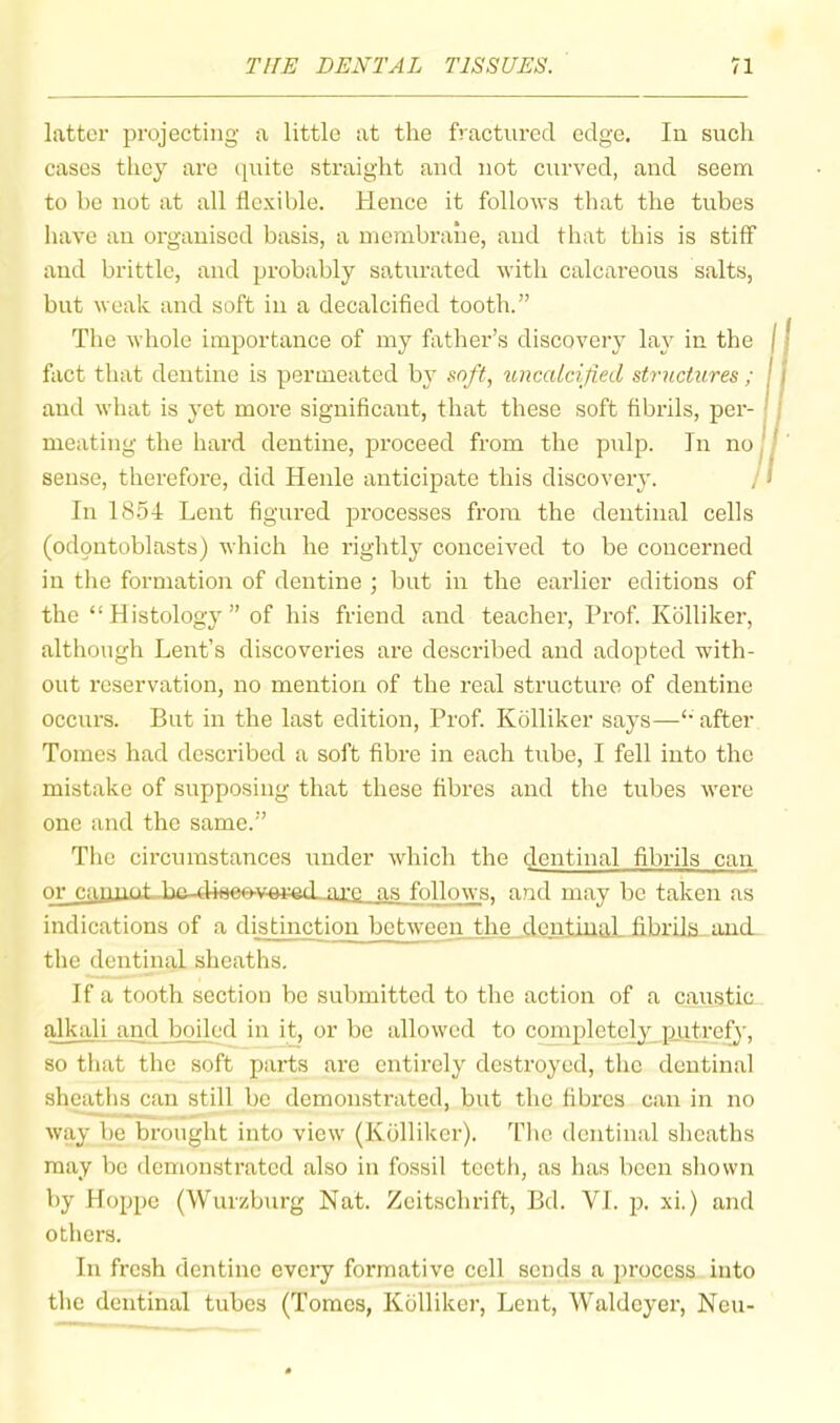 latter projecting a little at the fractured edge. In such cases they are epute straight and not curved, and seem to be not at all flexible. Hence it follows that the tubes have an organised basis, a membrane, and that this is stiff and brittle, and probably saturated with calcareous salts, but weak and soft in a decalcified tooth.” The whole importance of my father’s discovery la}^ in the j j fact that dentine is permeated bj^ iinccUcified structures ; j f and what is yet more significant, that these soft fibrils, per- ^ I meating the hard dentine, proceed from the pulp. In no H ' sense, therefore, did Henle anticipate this discovery. , / In 1854 Lent figured processes from the dentinal cells (odpntoblasts) which he rightly conceived to be concerned in the formation of dentine ; but in the earlier editions of the “ Histology ” of his friend and teacher. Prof. Kblliker, although Lent’s discoveries are described and adopted with- out reservation, no mention of the real structure of dentine occurs. But in the last edition. Prof. Kblliker says—'• after Tomes had described a soft fibre in each tube, I fell into the mistake of supposing that these fibres and the tubes were one and the same.” The circumstances under which the dentinal fibrils can r>r ai’c as follows, and may be taken as indications of a distinction between the dentinal fibrils and the dentinal sheaths. If a tooth section bo submitted to the action of a caustic alkali and boiled in it, or bo allowed to completely nutrofy, so that the soft parts are entirely destroyed, the dentinal sheaths can still be demonstrated, but the fibres can in no way be brought into view (Kblliker). Tlie dentinal sheaths may be demonstrated also in fossil teeth, as has been sliovvn by Hoppe (Wurzburg Nat. Zeitschrift, Bd. VI. p. xi.) and others. In fresh dentine every formative cell scuds a process into the dentinal tubes (Tomes, Kblliker, Lent, Waldeyer, Neu-