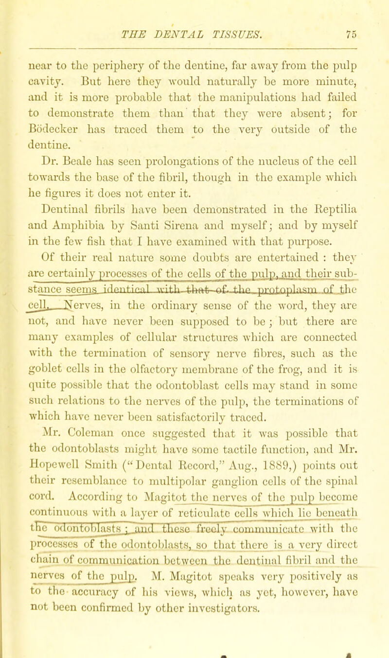 near to the periphery of the dentine, far away from the pulp cavity. But here they would naturally be more minute, and it is more probable that the manipulations had failed to demonstrate them than that they were absent; for Bodecker has traced them to the very outside of the dentine. Dr. Beale has seen prolongations of the nucleus of the cell towards the base of the fibril, though in the example which he figures it does not enter it. Dentinal fibrils have been demonstrated in the Keptilia and Amphibia by Santi Sirena and myself; and by myself in the few fish that I have examined with that purpose. Of their real nature some doubts are entertained : they are certainly processes of the cells of the miln. and their sub- stance sp.ema idf>ntif»!Tl wiHi nf prntnplasin nf the cell. Nerves, in the ordinary sense of the word, they are not, and have never been supposed to be ; but there are many examples of cellular structures which are connected with the termination of sensory nerve fibres, such as the goblet cells in the olfactory membrane of the frog, and it is quite possible that the odontoblast cells may stand in some such relations to the neiwes of the pulp, the terminations of w'hich have never been satisfactorily traced. Mr. Coleman once suggested that it was possible that the odontoblasts might have some tactile function, and Mr. Hopewell Smitli (“Dental Eccord,” Aug., 1889,) points out their resemblance to multipolar ganglion cells of the spinal cord. According to Magitot the nerves of the pulp become continuous witli a layer of reticulate cells wliich lie beneath tFe Oflontoi)lasfs ; and these frenlv cnmmimicate with the processes of the odontoblasts, so that there is a very direct chain of communication between the dentinal fibril and tlie nerves of the pulp. M. Magitot speaks very positively as to tbe accuracy of his views, which as yet, however, have not been confirmed by other investigators.