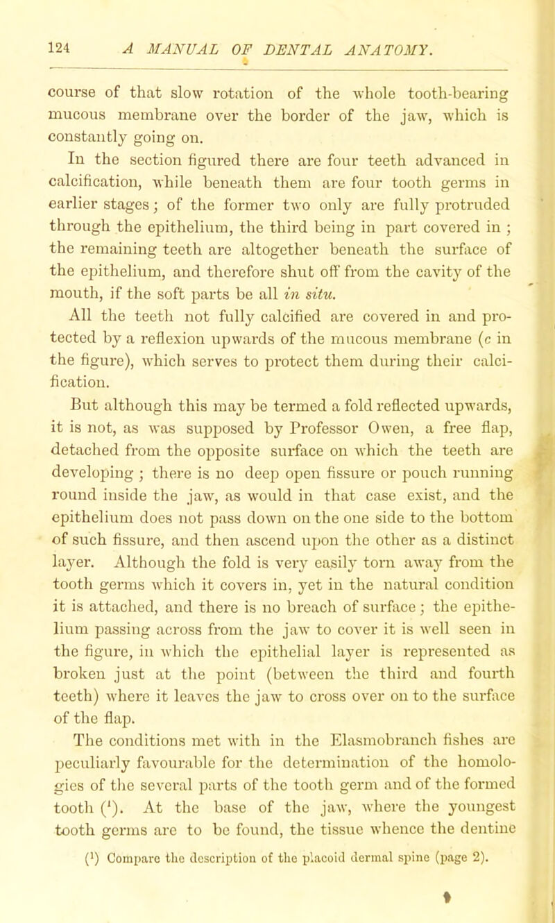 course of that slow rotation of the whole tooth-bearing mucous membrane over the border of the jaw, which is constantly going on. In the section figured there are four teeth advanced in calcification, while beneath them are four tooth germs in earlier stages; of the former two only are fully protruded through the epithelium, the third being in part covered in ; the remaining teeth are altogether beneath the surfirce of the epithelium, and therefore shut off from the cavity of the month, if the soft parts be all in situ. All the teeth not fully calcified are covered in and pro- tected by a reflexion upwards of the mucous membrane (c in the figure), which serves to protect them during their calci- fication. But although this may be termed a fold reflected upv’ards, it is not, as was supposed by Professor Owen, a free flap, detached from the opposite surface on which the teeth are developing ; there is no deep open fissure or pouch running round inside the jaw, as would in that case exist, and the epithelium does not pass down on the one side to the bottom of such fissure, and then ascend upon the other as a distinct layer. Although the fold is very easily torn away from the tooth germs which it covers in, yet in the natural condition it is attached, and there is no breach of surface; the epithe- lium passing across from the jaw to cover it is well seen in the figure, in which the epithelial layer is represented as broken just at the point (between the third and fourth teeth) where it leaves the jaw to cross over on to the surface of the flap. The conditions met with in the Elasmobranch fishes are peculiarly favourable for the detei’inination of the homolo- gies of tlie several parts of the tooth germ and of the formed tooth (*). At the base of the jaw, where the youngest tooth germs are to be found, the tissue whence the dentine (') Compare the description of the placoid dermal spine (page 2).