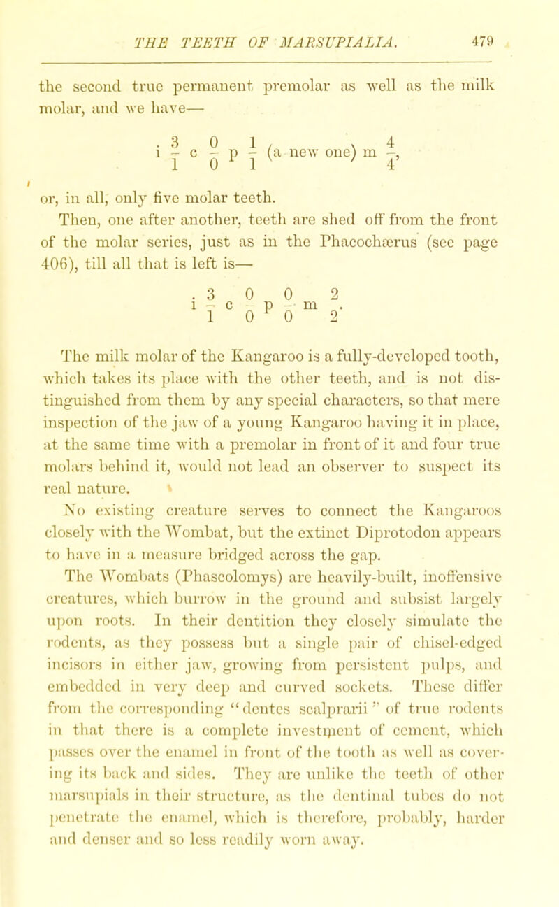 the second true permanent premolar as ■well as the milk molar, and we have— .301, X 4 1 - c - p - (a new one) m 1 0 M ^ ^4 or, in all, only five molar teeth. Then, one after another, teeth are shed off from the front of the molar series, just as in the Phacochserus (see page 406), till all that is left is— . 3 1 - c 1 0 0 p - m 0^0 2 o’ The milk molar of the Kangai’oo is a fidly-developed tooth, which takes its jdace with the other teeth, and is not dis- tinguished from them by any special characters, so that mere inspection of the jaw of a young Kangaroo having it in place, at the same time with a premolar in front of it and four true molars behind it, would not lead an observer to suspect its real nature. No existing creature serves to connect the Kangaroos closely with the Wombat, but the extinct Diprotodon appears to have in a measure bridged across the gap. The Wombats (Pliascolomys) are heavily-built, inoffensive creatures, wliich burrow in the ground and subsist lai'gcly u])on roots. In their dentition they closely simulate the rodents, as they possess but a single pair of chisel-edged incisors in either jaw, growing from persistent pulps, and embedded in very deep and curved sockets. These differ from tlie corresponding “dentes scalprarii ” of true rodents in that there is a complete invcstipcnt of cement, which passes over the enamel in front of the tooth as well as cover- ing its back and sides. 4’hey are unlike tlic tcetli of otlier marsupials in their structure, as tlie dentinal tubes do not jicnetrate tlie enamel, which is therefore, probably, harder and denser and so less readily worn away.