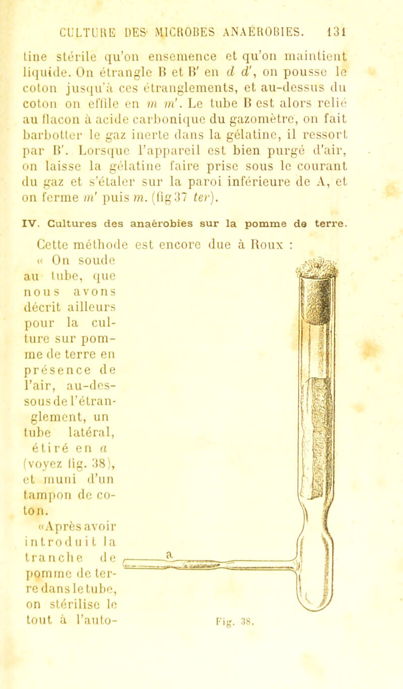 line stérile qu'on ensemence et qu'on maintient liquide. On étrangle B et B' en d d', on pousse le foton jus(iuà ces étranglements, et au-dessus du colon on el'lile en m m'. Le tube Best alors relié au flacon à acide carbonique du gazomètre, on fait barbotler le gaz inerte dans la gélatine, il ressort par B'. Lorsque l'appareil est bien purgé d'air, on laisse la gélatine l'aire prise sous le courant du gaz et s'étaler sur la paroi Inférieure de A, et on ferme m' puis m. (tig37 te)'). IV. Cultures des anaérobies sur la pomme de terre. Cette méthode est encore due à Roux : « On soude au lube, que nous avons décrit ailleurs pour la cul- ture sur pom- me de terre en présence de l'air, au-des- sous de l'étran- glement, un lube latéral, étiré en a (voyez lig. :)8), et rriuui d'un tampon de co- ton. <'.\près .avoir introduit la tranche de pomme de ter- re dans le tube, on stérilise lo tout il l'auto- Fig. -.ts.