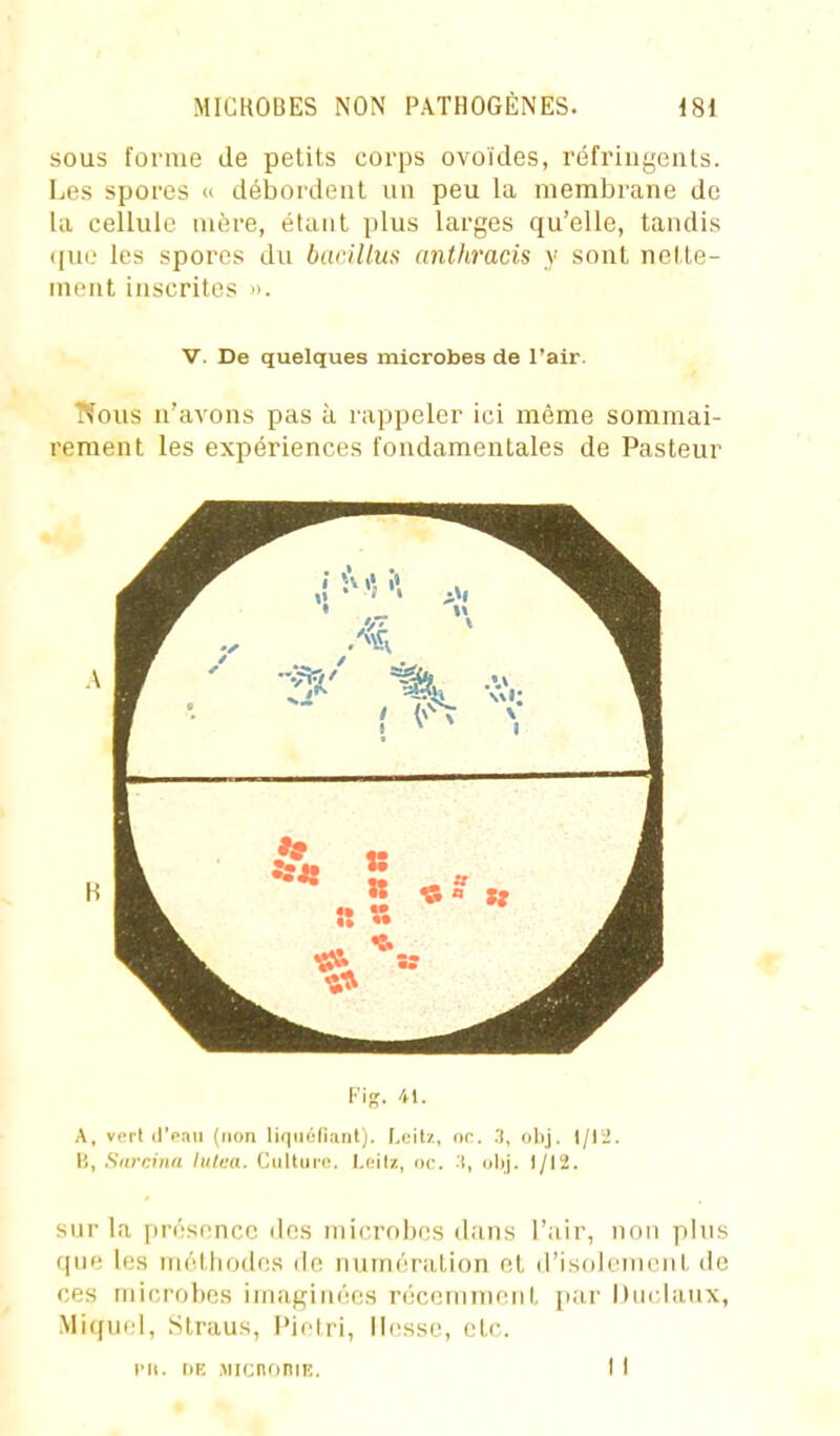 sous forme de petits corps ovoïdes, réfringents. Les spores » débordent nn peu la membrane de la cellule mère, étant plus larges qu'elle, tandis que les spores du bariltus anthracis y sont nette- ment inscrites ». V. De quelques microbes de l'air. Nous n'avons pas à rappeler ici même sommai- rement les expériences fondamentales de Pasteur Fig. 41. A, vert dVau (non liqiiéfi:int). Lcilz, oc. .'i, obj. 1/1'.!. B, Siircina Iulea. Culture. Loilz, oc. -i, olpj. 1/12. sur la présence des microbes dans l'air, non plus que les méthodes de numération et d'isolement de ces microbes imaginées récemment i)ar Duclaux, Miquel, Straus, Pietri, liesse, etc. l'it. i)K .MicnoniK. I I