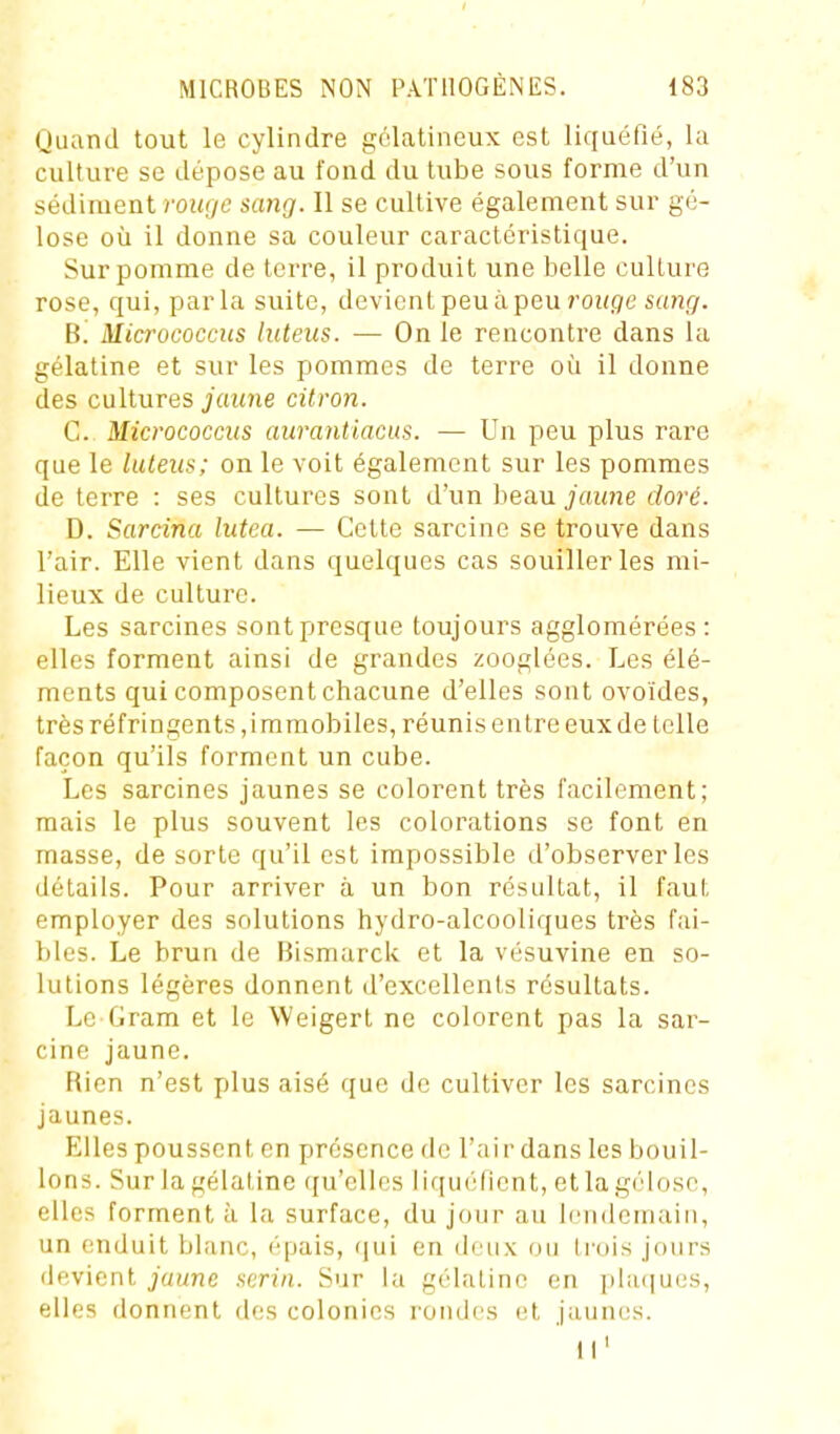 Quand tout le cylindre gélatineux est liquéfié, la culture se dépose au fond du tube sous forme d'un sédiment roufye sang. Il se cultive également sur gé- lose où il donne sa couleur caractéristique. Sur pomme de terre, il produit une belle culture rose, qui, parla suite, devient peu à peu î'OH.ge s«nf/. B. Micrococcics luteus. ■— On le rencontre dans la gélatine et sur les pommes de terre où il donne des cultures jaune citron. C. Micrococcus aurantiacus. — Un peu plus rare que le luleiis; on le voit également sur les pommes de terre : ses cultures sont d'un hea.u jaune doré. D. Sarcina lutea. — Cette sarcine se trouve dans l'air. Elle vient dans quelques cas souiller les mi- lieux de culture. Les sarcines sont presque toujours agglomérées: elles forment ainsi de grandes zooglées. Les élé- ments qui composent chacune d'elles sont ovoïdes, très réfringents,immobiles, réunis entre eux de telle façon qu'ils forment un cube. Les sarcines jaunes se colorent très facilement; mais le plus souvent les colorations se font en masse, de sorte qu'il est impossible d'observer les détails. Pour arriver à un bon résultat, il faut employer des solutions hydro-alcooliques très fai- bles. Le brun de Bismarck et la vésuvine en so- lutions légères donnent d'excellents résultats. Le Gram et le Weigert ne colorent pas la sar- cine jaune. Rien n'est plus aisé que de cultiver les sarcines jaunes. Elles poussent en présence de l'air dans les bouil- lons. Sur la gélatine qu'elles liquéfient, et la gélose, elles forment à la surface, du jour au lendemain, un enduit blanc, iqjais, (|ui en doux ou trois jours devient jaune aerin. Sur la gélatine en phuiues, elles donnent des colonies rondes et jaunes. 11'