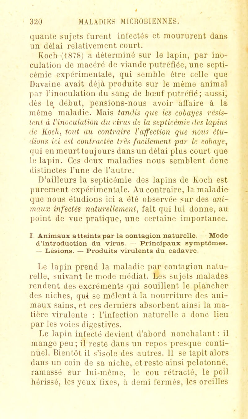 quante sujets furent infectes et moururent dans un délai relativement court. Koch (1878) a déterminé sur le lapin, par ino- culation de macéré de viande putréfiée, une septi- cémie expérimentale, qui semble être celle que Davaine avait déjà produite sur le même animal par l'inoculation du sang de bœuf putréfié; aussi, dès le^ début, pensions-nous avoir affaire à la même maladie. Mais tandis que les cobayes résis- tent à Vinoi:ulation du virus de la septicémie des lapins de Koch, tout au contraire l'affection que nous étu- dions ici est contractée très facilement par le cobaye, qui eu meurt toujours dans un délai plus court que le lapin. Ces deux maladies nous semblent donc distinctes l'une de l'autre. D'ailleurs la septicémie des lapins de Koch est purement expérimentale. Au contraire, la maladie que nous étudions ici a été observée sur des «ni- mnux infectés naturellement, fait qui lui donne, au point de vue pratique, une certaine importance. I. Animaux atteints par la contagion naturelle. — Mode d'introduction du virus. - Principaux symptômes. — Lésions. — Produits virulents du cadavre. Le lapin prend la maladie i)ar contagion natu- relle, suivant le mode médiat. Les sujets malades rendent des excréments qui souillent le plancher des niches, qui se mêlent à la nourriture des ani- maux sains, et ces derniers absorbent ainsi la ma- tière virulente : l'infection naturelle a donc lieu par les voies digestives. Le lapin infecté devient d'abord nonchalant : il mange peu; il i-este dans un repos presque conti- nuel. Bientôt il s'isole des autres. Il se tapit alors dans un coin de sa niche, et reste ainsi pelotonné, ramassé sur lui-même, le cou rétracté, le poil hérissé, les yeux fixes, à demi fermés, les oreilles