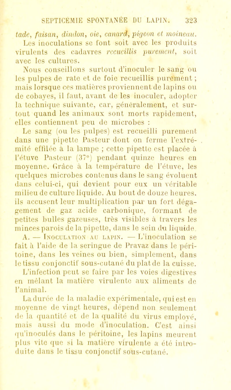 tade, faisan, dindon, oie, canard, pigemi cl moineau. Los inoculations se l'ont soit avec les produits virulents des cadavres recueillis parenient, suit avec les cultures. Nous conseillons surtout, d'inoculer le sang ou les pulpes de rate et de foie recueillis |uirement ; niais lorsque ces matières proviennent de lapins ou de cobayes, il faut, avant de les inoculer, adopler la techni(jue suivante, car, généralement, et sur- tout quand les animaux sont morts rapidement, elles contiennent peu de microbes : Le sang (ou les pulpes) est recueilli purement dans une pi[ietto Pasteur dont on ferme l'extré- mité effilée à la lampe ; cette pipette est placée à l'étuve Pasteur (37) pendant quinze heures en moyenne. Cràce à la température de l'étuve, les ([uclqucs microbes cont(;nus dans le sang évoluent dans celui-ci, qui devient pour eux un véritable milieu de culture liquide. Au bout de douze heures, ils accusent leur multiplication par un fort déga- gement de gaz acide carbonique, formant de petites bulles gazeuses, très visibles à travers les minces parois de la pipette, dans le sein du liquide A. — Inoculatio.n au lapin. — L'inoculation se fait à l'aide de la seringue de Pravaz dans le péi'i- toine, dans les veines ou bien, simplement, dans le tissu conjonctif sous-cutané du plaide la cuisse. L'infection peut se faire par les voies digestives en mêlant la matière virulente aux aliments de l'animal. Ladurée de la maladie expérimentale, qui est en moyenne de vingt heures, dépend non seulement de la quantité! et de la qualité du virus emiilové, mais aussi du mode d'inoculation. C'est ainsi fpi'inoculés dans le péritoine, les lapins meurent plus vite que si la matière virulente a été inlixi- duite dans le lisau conjonctif sous-cutané.