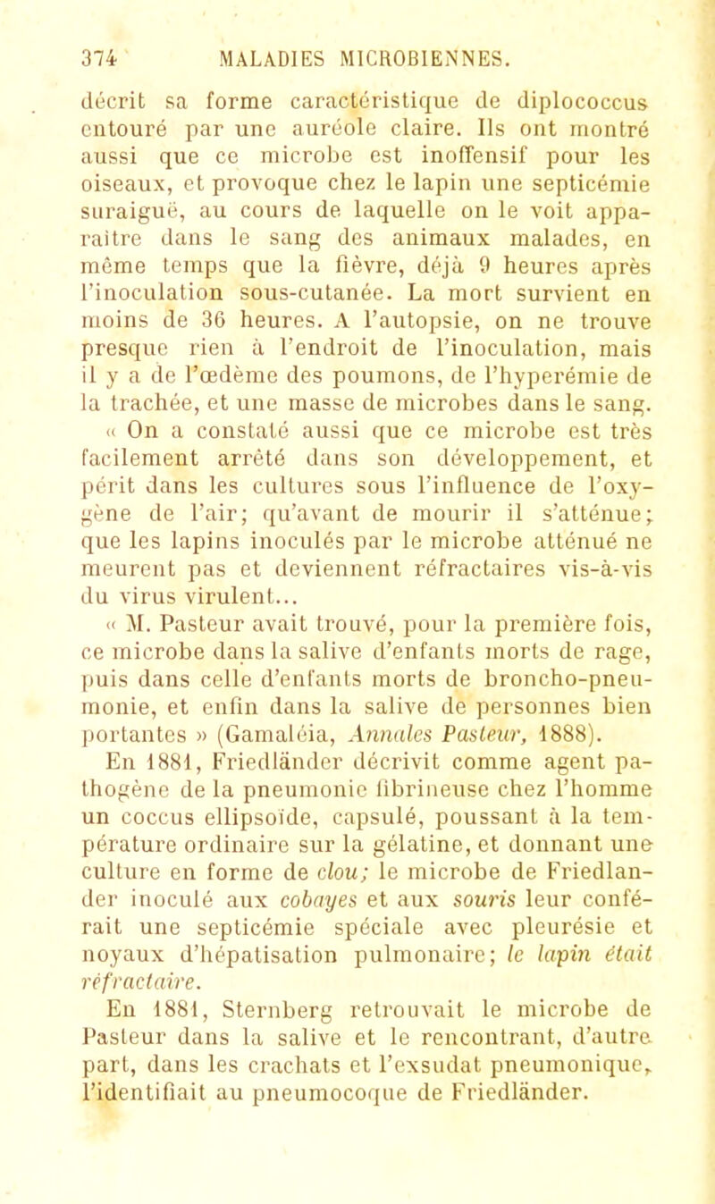 décrit sa forme caractéristique de diplococcus entouré par une auréole claire. Ils ont montré aussi que ce microbe est inofîensif pour les oiseaux, et provoque chez le lapin une septicémie siiraiguë, au cours de laquelle on le voit appa- raître dans le sang des animaux malades, en même temps que la fièvre, déjà 9 heures après l'inoculation sous-cutanée. La mort survient en moins de 36 heures. A l'autopsie, on ne trouve presque rien à l'endroit de l'inoculation, mais il y a de l'œdème des poumons, de l'hyperémie de la trachée, et une masse de microbes dans le sang. ce On a constaté aussi que ce microbe est très facilement arrêté dans son développement, et périt dans les cultures sous l'influence de l'oxy- gène de l'air; qu'avant de mourir il s'atténue; que les lapins inoculés par le microbe atténué ne meurent pas et deviennent réfractaires vis-à-vis du virus virulent... c< M. Pasteur avait trouvé, pour la première fois, ce microbe dans la salive d'enfants morts de rage, puis dans celle d'enfants morts de broncho-pneu- monie, et enfin dans la salive de personnes bien portantes » (Gamaléia, Annales Pasleitr, 1888). En 1881, Friedlândcr décrivit comme agent pa- thogène de la pneumonie libriiieusc chez l'homme un coccus ellipsoïde, capsulé, poussant à la tem- pérature ordinaire sur la gélatine, et donnant une culture en forme de clou; le microbe de Friedlan- der inoculé aux cobayes et aux souris leur confé- rait une septicémie spéciale avec pleurésie et noyaux d'hépatisation pulmonaire; le lapin était réfractaire. En 1881, Sternberg retrouvait le microbe de Pasteur dans la salive et le rencontrant, d'autre, part, dans les crachats et l'exsudat pneuinonique,, l'identifiait au pneumocoque de Friedlânder.