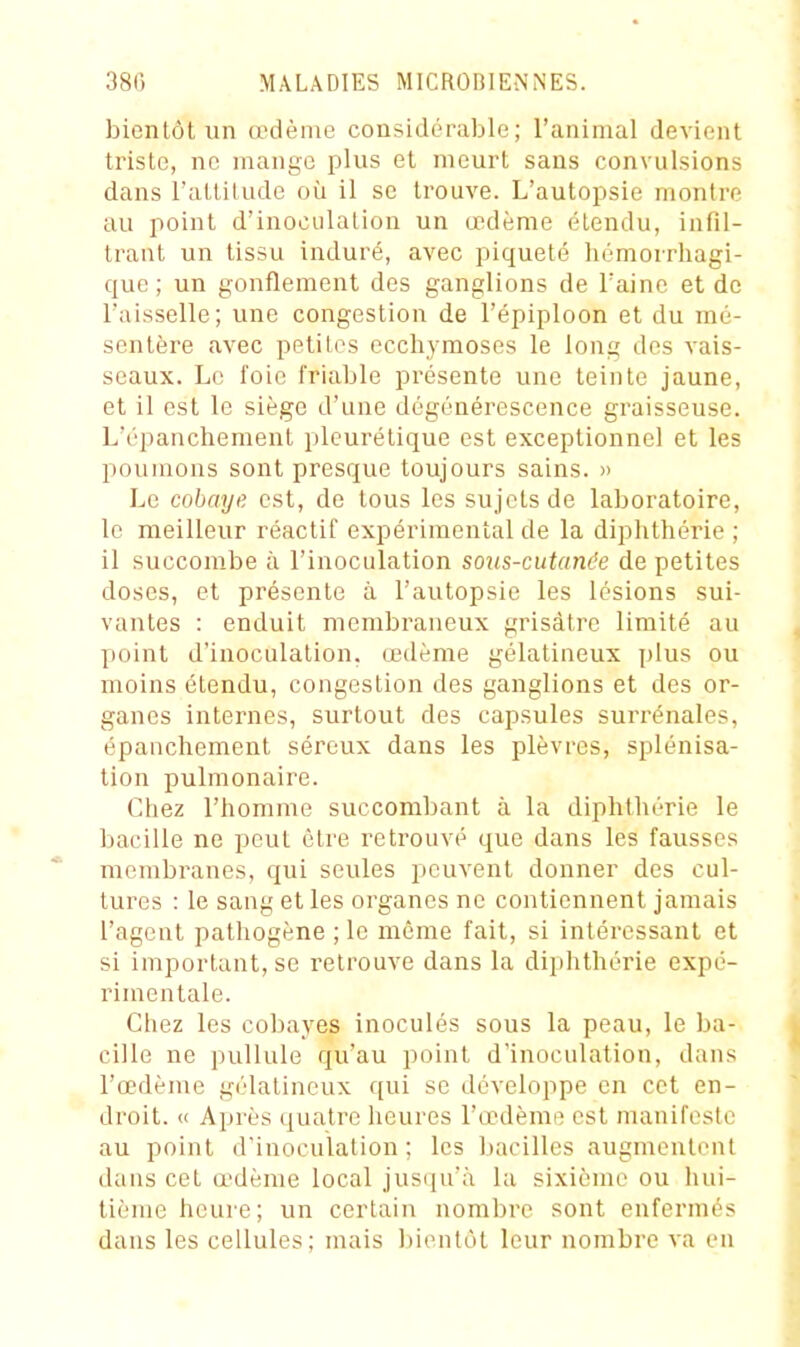 bientôt un œdème considérable; l'animal devient triste, ne mange plus et meurt sans convulsions dans l'attitude où il se trouve. L'autopsie montre au point d'inoculation un œdème étendu, infil- trant un tissu induré, avec piqueté hémorrliagi- quc ; un gonflement des ganglions de l'aine et de ruisselle; une congestion de l'épiploon et du mé- sentère avec petites ecchymoses le long des vais- seaux. Le foie friable présente une teinte jaune, et il est le siège d'une dégénérescence graisseuse. L'épanchement pleurétique est exceptionnel et les poumons sont presque toujours sains. » Le cobaye est, de tous les sujets de laboratoire, le meilleur réactif expérimental de la diphthérie ; il succombe à l'inoculation sous-cutanée de petites doses, et présente à l'autopsie les lésions sui- vantes : enduit membraneux grisâtre limité au point d'inoculation, œdème gélatineux plus ou moins étendu, congestion des ganglions et des or- ganes internes, surtout des capsules surrénales, épanchement séreux dans les plèvres, splénisa- tion pulmonaire. Chez l'homme succombant à la diphthérie le bacille ne peut être retrouvé que dans les fausses membranes, qui seules peuvent donner des cul- tures : le sang et les organes ne contiennent jamais l'agent pathogène ; le même fait, si intéressant et si important, se retrouve dans la diphthérie expé- rimentale. Chez les cobayes inoculés sous la peau, le ba- cille ne pullule qu'au point d'inoculation, dans l'œdème gélatineux qui se développe en cet en- droit. « Après quatre heures l'œdème est manifeste au point d'inoculation; les bacilles augmentent dans cet œdème local jusqu'à la sixième ou hui- tième heure; un certain nombre sont enfermés dans les cellules; mais l)ienlôt leur nombre va en