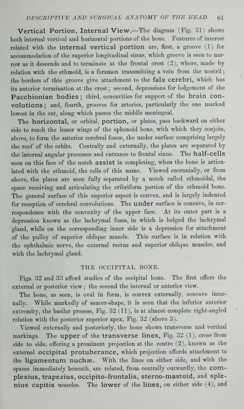 Vertical Portion, Internal View.—The diagram (Fig. 31) shows both internal vertical and horizontal portions of the bone. Features of interest related with the internal vertical portion are, first, a groove (1) for accommodation of the superior longitudinal sinus, which groove is seen to nar- row as it descends and to terminate at the frontal crest (2), where, made by relation with the ethmoid, is a foramen transmitting a vein from the nostril; the borders of this groove give attachment to the falx cerebri, which has its anterior termination at the crest; second, depressions for lodgement of the Pacchionian bodies ; third, concavities for support of the brain con- volutions ; and, fourth, grooves for arteries, particularly the one marked lowest in the cut, along which passes the middle meningeal. The horizontal, or orbital, portion, or plates, pass backward on either side to reach the lesser wings of the sphenoid bone, with which they conjoin, above, to form the anterior cerebral fossae, the under surface comprising largely the roof of the orbits. Centrally and externally, the plates are separated by the internal angular processes and entrance to frontal sinus. The half-cells seen on this face of the notch assist in completing, when the bone is articu- lated with the ethmoid, the cells of this name. Viewed encranially, or from above, the plates are seen fully separated by a notch called ethmoidal, the space receiving and articulating the cribriform portion of the ethmoid bone. The general surface of this superior aspect is convex, and is largely indented for reception of cerebral convolutions. The under surface is concave, in cor- respondence with the convexity of the upper face. At its outer part is a depression known as the lachrymal fossa, in which is lodged the lachrymal gland, while on the corresponding inner side is a depression for attachment of the pulley of superior oblique muscle. This surface is in relation with the ophthalmic nerve, the external rectus and superior oblique muscles, and with the lachrymal gland. THE OCCIPITAL BONE. Figs. 32 and 33 afford studies of the occipital bone. The first offers the external or posterior view; the second the internal or anterior view. The bone, as seen, is oval in form, is convex externally, concave inter- nally. While markedly of saucer-shape, it is seen that the inferior anterior extremity, the basilar process, Fig. 32 (11), is at almost complete right-angled relation with the posterior superior apex, Fig. 32 (above 3). Viewed externally and posteriorly, the bone shows transverse and vertical markings. The upper of the transverse lines, Fig. 32 (1), cross from side to side, offering a prominent projection at the centre (2), known as the external occipital protuberance, which projection affords attachment to the ligamentum nuchae. With the lines on either side, and with the spaces immediately beneath, are related, from centrally outwardly, the com- plexius, trapezius, occipito-frontalis, sterno-mastoid, and sple- nius capitis muscles. The lower of the lines, on either side (4), and