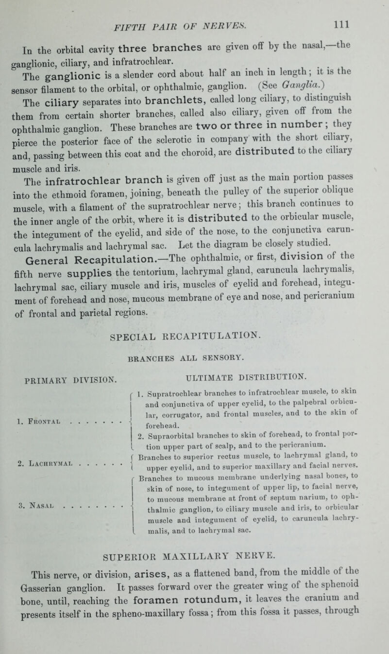 In the orbital cavity three branches are given off by the nasal, the ganglionic, ciliary, and infratrochlear. The ganglionic is a slender cord about half an inch in length; it is the sensor filament to the orbital, or ophthalmic, ganglion. (See Ganglia.') The ciliary separates into branchlets, called long ciliary, to distinguish them from certain shorter branches, called also ciliary, given off from the ophthalmic ganglion. These branches are two or three in number ; they pierce the posterior face of the sclerotic in company with the short ciliary, and, passing between this coat and the choroid, are distributed to the ciliary muscle and iris. The infratrochlear branch is given off just as the main portion passes into the ethmoid foramen, joining, beneath the pulley of the superior oblique muscle, with a filament of the supratrochlear nerve; this branch continues to the inner angle of the orbit, where it is distributed to the orbicular muscle, the integument of the eyelid, and side of the nose, to the conjunctiva carun- cula lachrymalis and lachrymal sac. Let the diagram be closely studied. General Recapitulation.—The ophthalmic, or first, division of the fifth nerve supplies the tentorium, lachrymal gland, caruncula lachrymalis, lachrymal sac, ciliary muscle and iris, muscles of eyelid and forehead, integu- ment of forehead and nose, mucous membrane of eye and nose, and pericranium of frontal and parietal regions. SPECIAL RECAPITULATION. BRANCHES ALL SENSORY. PRIMARY DIVISION. 1. Frontal 2. Lachrymal 3. Nasal ULTIMATE DISTRIBUTION. f 1. Supratrochlear branches to infratrochlear muscle, to skin and conjunctiva of upper eyelid, to the palpebral orbicu- lar, corrugator, and frontal muscles, and to the skin of j forehead. I 2. Supraorbital branches to skin of forehead, to trontnl poi- v. tion upper part of scalp, and to the pericranium, j Branches to superior rectus muscle, to lachrymal gland, to 1 upper eyelid, and to superior maxillary and facial nei\es. ' Branches to mucous membrane underlying nasal bones, to skin of nose, to integument of upper lip, to facial nerve, to mucous membrane at front of septum narium, to oph- thalmic ganglion, to ciliary muscle and iris, to orbicular muscle and integument of eyelid, to caruncula lachry- _ malis, and to lachrymal sac. SUPERIOR MAXILLARY NERVE. This nerve, or division, arises, as a flattened band, lrom the middle ot the Gasserian ganglion. It passes forward over the greater wing of the sphenoid bone, until, reaching the foramen rotundum, it leaves the cranium and presents itself in the spheno-maxillary fossa; from this fossa it passes, through