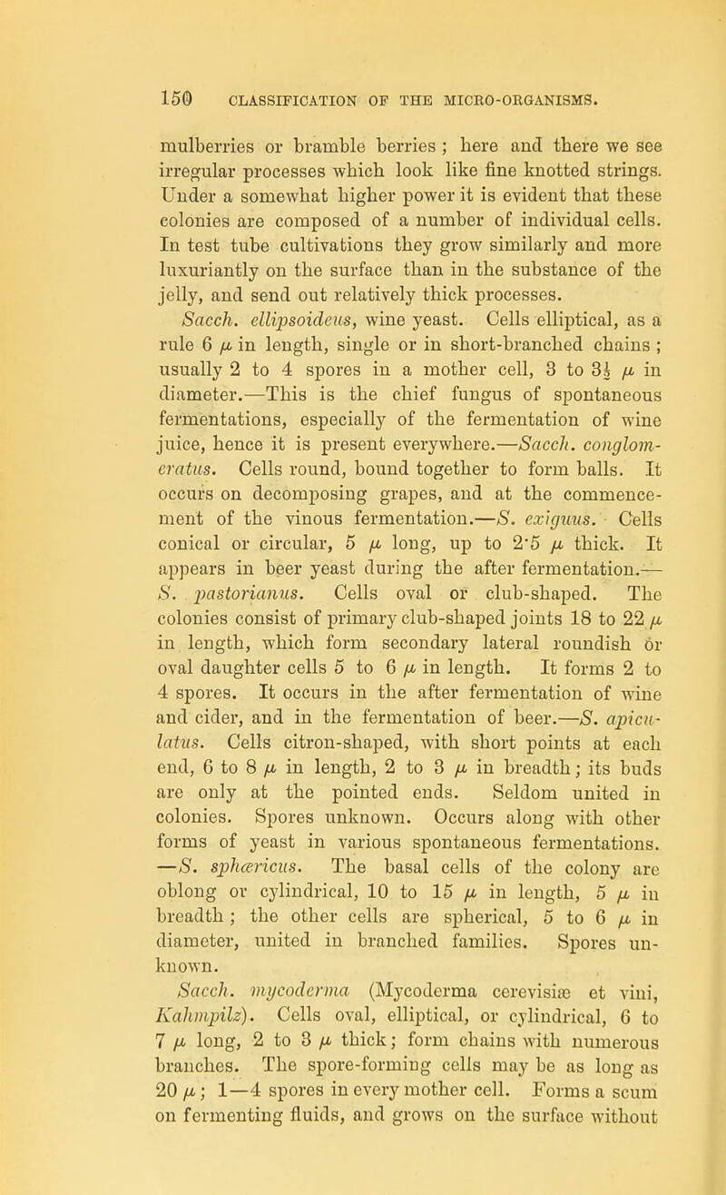 mulberries or bramble berries ; here and there we see irregular processes which look like fine knotted strings. Under a somewhat higher power it is evident that these colonies are composed of a number of individual cells. In test tube cultivations they grow similarly and more luxuriantly on the surface than in the substance of the jelly, and send out relatively thick processes, Sacch. ellipsoideus, wine yeast. Cells elliptical, as a rule 6 yu. in length, single or in short-branched chains ; usually 2 to 4 spores in a mother cell, 3 to 83 /a in diameter.—This is the chief fungus of spontaneous fermentations, especially of the fermentation of wine juice, hence it is present everywhere.—Sacch. coiiglom- eratus. Cells round, bound together to form balls. It occurs on decomposing grapes, and at the commence- ment of the vinous fermentation.—S. ex)guns. Cells conical or circular, 5 yu. long, up to 25 /u. thick. It appears in beer yeast during the after fermentation.— *S'. . imstorianus. Cells oval or club-shaped. The colonies consist of primary club-shaped joints 18 to 22 fi in length, which form secondary lateral roundish or oval daughter cells 5 to 6 yu. in length. It forms 2 to 4 spores. It occurs in the after fermentation of wine and cider, and in the fermentation of beer.—;S'. apicii- latus. Cells citron-shaped, with short points at each end, 6 to 8 yu. in length, 2 to 3 ytt in breadth; its buds are only at the pointed ends. Seldom united in colonies. Spores unknown. Occurs along with other forms of yeast in various spontaneous fermentations. —S. sphcericiis. The basal cells of the colony are oblong or cylindrical, 10 to 15 jj. in length, 5 yu. in breadth ; the other cells are spherical, 5 to 6 yu, in diameter, united in branched families. Spores un- known. Sacch. mycodcrma (Mycoderma cerevisia) et vini, Kahinpilz). Cells oval, elliptical, or cylindrical, 6 to 7 fJ' long, 2 to 3 /A thick; form chains with numerous branches. The spore-forming cells may be as long as 20 yti; 1—4 spores in every mother cell, Forms a scum on fermenting fluids, and grows on the surface without
