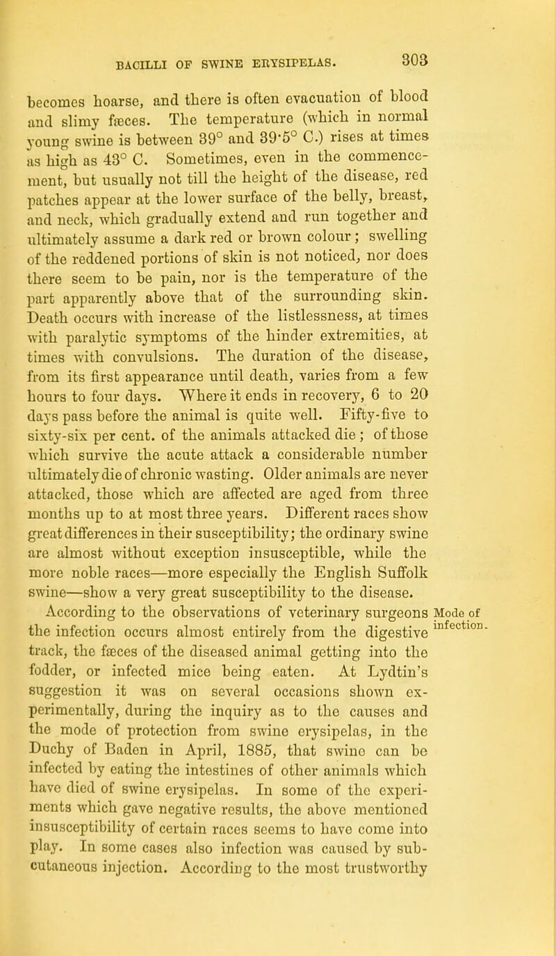 becomes hoarse, and there is often evacuation of blood and slimy fteces. The temperature (which in normal young swine is between 39° and 39-5° C.) rises at times as high as 43° C. Sometimes, even in the commence- ment, but usually not till the height of the disease, red patches appear at the lower surface of the belly, breast, and neck, which gradually extend and run together and ultimately assume a dark red or brown colour; swelling of the reddened portions of skin is not noticed, nor does there seem to be pain, nor is the temperature of the part apparently above that of the surrounding skin. Death occurs with increase of the listlessness, at times with paralytic symptoms of the hinder extremities, at times with convulsions. The duration of the disease, from its first appearance until death, varies from a few hours to four days. Where it ends in recovery, 6 to 20 days pass before the animal is quite well. Fifty-five to sixty-six per cent, of the animals attacked die ; of those which survive the acute attack a considerable number ultimately die of chronic wasting. Older animals are never attacked, those which are afi'ected are aged from three months up to at most three years. Difi'erent races show greatdifi'erences in their susceptibility; the ordinary swine are almost without exception insusceptible, while the more noble races—more especially the English Sufi'olk swine—show a very great susceptibility to the disease. According to the observations of veterinary surgeons Mode of the infection occurs almost entirely from the digestive track, the faeces of the diseased animal getting into the fodder, or infected mice being eaten. At Lydtin's suggestion it was on several occasions shown ex- perimentally, during the inquiry as to the causes and the mode of protection from swine erysipelas, in the Duchy of Baden in April, 1885, that swino can be infected by eating the intestines of other animals which have died of swine erysipelas. In some of the experi- ments which gave negative results, the above mentioned insusceptibility of certain races seems to have come into play. In some cases also infection was caused by sub- cutaneous injection. According to the most trustworthy