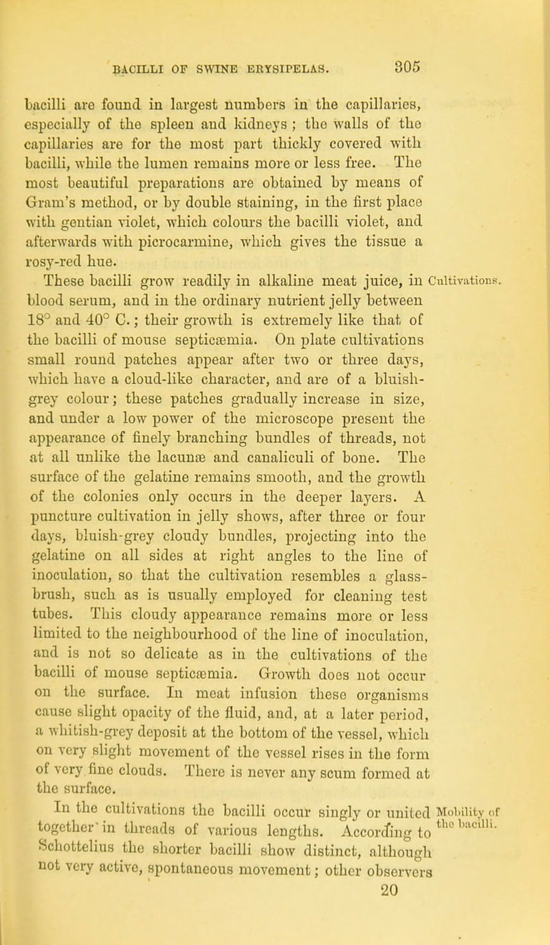 bacilli are found in largest numbers in the capillaries, especially of the spleen and kidneys ; the walls of the capillaries are for the most part thickly covered with bacilli, while the lumen remains more or less free. The most beautiful preparations are obtained by means of Gram's method, or by double staining, in the first place with gentian violet, which colours the bacilli violet, and afterwards with picrocarmine, which gives the tissue a rosy-red hue. These bacilli grow readily in alkaline meat juice, in Cultivations, blood serum, and in the ordinary nutrient jelly between 18° and 40° C.; their growth is extremely like that of the bacilli of mouse septicajmia. On plate cultivations small round patches appear after two or three days, which have a cloud-like character, and are of a bluish- grey colour; these patches gradually increase in size, and under a low power of the microscope present the appearance of finely branching bundles of threads, not at all unlike the lacunte and canaliculi of bone. The surface of the gelatine remains smooth, and the growth of the colonies only occurs in the deeper layers. A puncture cultivation in jelly shows, after three or four days, bluish-grey cloudy bundles, projecting into the gelatine on all sides at right angles to the line of inoculation, so that the cultivation resembles a glass- brush, such as is usually employed for cleaning test tubes. This cloudy appearance remains more or less limited to the neighbourhood of the line of inoculation, and is not so delicate as in the cultivations of the bacilli of mouse septicEemia. Growth does not occur on the surface. In meat infusion these organisms cause slight opacity of the fluid, and, at a later period, a whitish-grey deposit at the bottom of the vessel, which on very slight movement of the vessel rises in the form of very fine clouds. There is never any scum formed at the surface. In the cultivations the bacilli occur singly or united Moi.iiity of togetherMn threads of various lengths. Accorcfing to ^^'^ Schottelius the shorter bacilli show distinct, although not veiy active, spontaneous movement; other observers 20