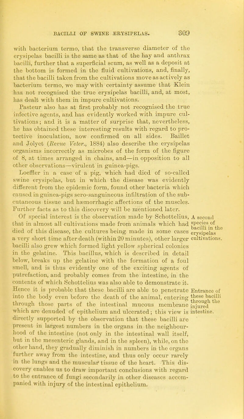 with bacterium termo, that the transverse diameter of the erysipelas bacilli is the same as that of the hay and anthrax bacilli, further that a superficial scum, as well as a deposit at the bottom is formed in the fluid cultivations, and, finally, that the bacilli taken fi-om the cultivations move as actively as bacterium termo, we may with certainty assume that Klein has not recognised the true erysipelas bacilli, and, at most, has dealt with them in impure cultivations. Pasteur also has at fii'st probably not recognised the true infective agents, and has evidently worked with impure cul- tivations ; and it is a matter of surprise that, nevertheless, he has obtained these interesting results with regard to pro- tective inoculation, now confirmed on all sides. Baillet and Jolyet {Revue Veter., 1884) also describe the erysipelas organisms incorrectly as microbes of the form of the figure of 8, at times arranged in chains, and—in opposition to all other observations—virulent in guinea-pigs. Loefiler in a case of a pig, which had died of so-called swine erysipelas, but in which the disease was evidently different from the epidemic form, found other bacteria which caused in guinea-pigs sero-sanguineous infiltration of the sub- cutaneous tissue and hsemorrhagic affections of the muscles. Further facts as to this discovery will be mentioned later. Of special interest is the observation made by Schottelius, A soeoud that in almost all cultivations made from animals which had ^^g^j^^-^^^jj died of this disease, the cultures being made in some cases erysipelas a very short time after death (within 20 minutes), other larger cultivation bacilli also grew which formed light yellow spherical colonies in the gelatine. This bacillus, which is described in detail below, breaks up the gelatine with the formation of a foul smell, and is thus evidently one of the exciting agents of putrefaction, and probably comes from the intestine, in the contents of which Schottelius was also able to demonstrate it. Hence it is probable that these bacilli are able to penetrate Entrance of into the body even before the death of the animal, entering ^^^^^^ ^j*^^]^^^ through those parts of the intestinal mucous membrane in^urpxl^ ^° which arc denuded of epithelium and ulcerated; this view is intestine, directly supported by the observation that these bacilli are present in largest numbers in the organs in the neighbour- hood of the intestine (not only in the intestinal wall itself, but in the mesenteric glands, and in the spleen), while, on the other hand, they gradually diminish in numbers in the organs further away from the intestine, and thus only occur rarely in the lungs and the musculai'tissue of the heart. This dis- covery enables us to draw important conclusions with regard to the entrance of fungi secondarily in other diseases accom- panied with injury of the intestinal epithelium.