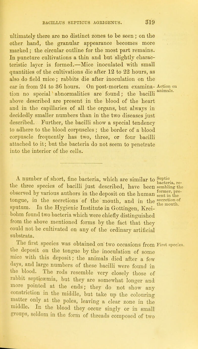 ultimately there are no distinct zones to be seen ; on the other hand, the granular appearance becomes more marked; the circular outline for the most part remains. In puncture cultivations a thin and but slightly charac- teristic layer is formed.—Mice inoculated with small quantities of the cultivations die after 12 to '22 hours, as also do field mice; rabbits die after inoculation on the ear in from 24 to 36 hours. On post-mortem examina- Action on tion no special abnormalities are found; the bacilli above described are present in the blood of the heart and in the capillaries of all the organs, but always in decidedly smaller numbers than in the two diseases just described. Further, the bacilli show a special tendency to adhere to the blood corpuscles; the border of a blood corpuscle frequently has two, three, or four bacilli attached to it; but the bacteria do not seem to penetrate into the interior of the cells. A number of short, fine bacteria, which are similar to Septic ,1 ,i . n I . . , - bacteria, re- tlie three species ot bacilli just described, have been sembling the observed by various authors in the deposit on the human seXin the tongue, in the secretions of the mouth, and in the secretion of , T , 1 TT . . . the mouth. sputum. In the Hygienic Institute in Gottingen, Krei- bohm found two bacteria which were chiefly distinguished from the above mentioned forms by the fact that they could not be cultivated on any of the ordinary artificial substrata. The first species was obtained on two occasions from First species, the deposit on the tongue by the inoculation of some mice with this deposit; the animals died after a few days, and large numbers of these bacilli were found in the blood. The rods resemble very closely those of rabbit septicfcmia, but they are somewhat longer and more pointed at the ends; they do not show any constriction in the middle, but take up the colouring matter only at the poles, leaving a clear zone in the middle. In the blood they occur singly or in small groups, seldom in the form of threads composed of two