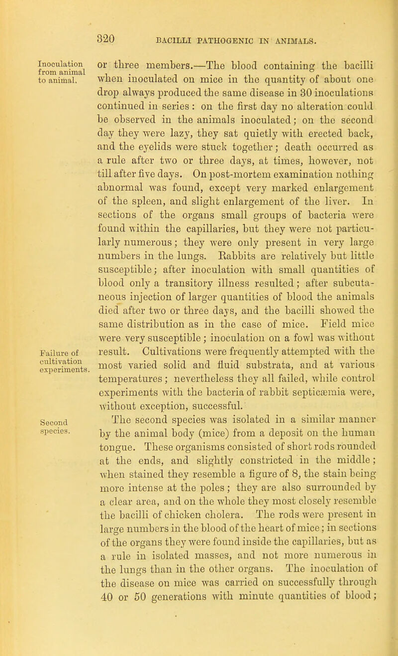 Inoculation from animal to animal. Failure of cultivation experiments. Second .species. or three members.—The bloocl contaming the bacilli when inoculated on mice in the quantity of about one drop always produced the same disease in 30 inoculations continued in series : on the first day no alteration could be observed in the animals inoculated; on the second day they were lazy, they sat quietly with erected back, and the eyelids were stuck together; death occurred as a rule after two or three days, at times, however, not till after five days. On post-mortem examination nothing abnormal was found, except very marked enlargement of the spleen, and slight enlargement of the liver. In sections of the organs small groups of bacteria vrere found within the capillaries, but they were not particu- larly numerous; they were only present in very large numbers in the lungs. Rabbits are relatively but little susceptible; after inoculation with small quantities of blood only a transitory illness resulted; after subcuta- neous injection of larger quantities of blood the animals died after two or three days, and the bacilli showed the same distribution as in the case of mice. Field mice were very susceptible; inoculation on a fowl was without result. Cultivations were frequently attempted with the most varied solid and fluid substrata, and at various temperatures; nevertheless they all failed, while control experiments with the bacteria of rabbit septicismia were, without exception, successful. The second species was isolated in a similar manner by the animal body (mice) from a deposit on the human tongue. These organisms consisted of short rods rounded at the ends, and slightly constricted in the middle; when stained they resemble a figure of 8, the stain being- more intense at the poles ; they are also surrounded by a clear area, and on the whole they most closely resemble the bacilli of chicken cholera. The rods were present in large numbers in the blood of the heart of mice; in sections of the organs they were found inside the capillaries, but as a rule in isolated masses, and not more numerous in the lungs than in the other organs. The inoculation of the disease on mice was carried on successfully through 40 or 50 generations with minute quantities of blood;