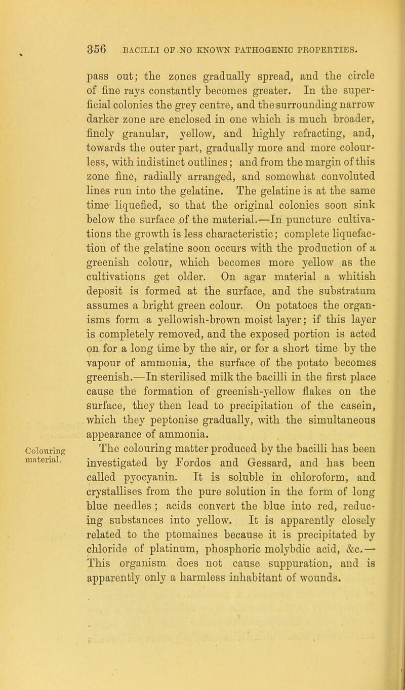 pass out; the zones gradually spread, and the circle of fine rays constantly becomes greater. In the super- ficial colonies the grey centre, and the surrounding narrow darker zone are enclosed in one which is much broader, finely granular, yellow, and highly refracting, and, towards the outer part, gradually more and more colour- less, with indistinct outlines; and from the margin of this zone fine, radially arranged, and somewhat convoluted lines run into the gelatine. The gelatine is at the same time liquefied, so that the original colonies soon sink below the surface .of the material.—In puncture cultiva- tions the growth is less characteristic; complete liquefac- tion of the gelatine soon occurs with the production of a greenish colour, which becomes more yellow as the cultivations get older. On agar material a whitish deposit is formed at the surface, and the substratum assumes a bright green colour. On potatoes the organ- isms form a yellowish-brown moist layer; if this layer is completely removed, and the exposed portion is acted on for a long time by the air, or for a short time by the vapour of ammonia, the surface of the potato becomes greenish.—In sterilised milk the bacilli in the first place cause the formation of greenish-yellow flakes on the surface, they then lead to precipitation of the casein, which they peptonise gradually, with the simultaneous appearance of ammonia. Colouring The colouring matter produced by the bacilli has been material. investigated by Fordos and Gessard, and has been called pyocyanin. It is soluble in chloroform, and crystallises from the pure solution in the form of long blue needles ; acids convert the blue into red, reduc- ing substances into yellow. It is apparently closely related to the ptomaines because it is precipitated by chloride of platinum, phosphoric molybdic acid, &c.— This organism does not cause suppuration, and is apparently only a harmless inhabitant of wounds.