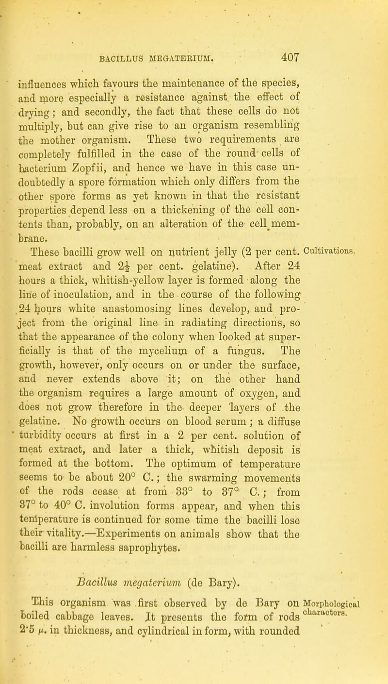 influences which favours the maintenance of the species, and more especially a resistance against, the effect of drying; and secondly, the fact that these cells do not multiply, but can give rise to an organism resembling the mother organism. These two requirements are completely fulfilled in the case of the round cells of bacterium Zopfii, and hence we have in this case un- doubtedly a spore formation which only differs from the other spore forms as yet known in that the resistant properties depend less ©n a thickening of the cell con- tents than, probably, on an alteration of the cell^ mem- brane. These bacilli grow well on nutrient jelly (2 per cent. Cultivations, meat extract and 2^ per cent, gelatine). After 24 hours a thick, whitish-yellow layer is formed along the line of inoculation, and in the course of the following . 24 Incurs white anastomosing lines develop, and pro- ject from the original line in radiating directions, so that the appearance of the colony when looked at super- ficially is that of the mycelium of a fungus. The growth, however, only occurs on or under the surface, and never extends above it; on the other hand the organism requires a large amount of oxygen, and does not gi-ow therefore in the deeper layers of .the gelatine. No gi-owth occurs on blood serum ; a diffuse turbidity occurs at first in a 2 per cent, solution of meat extract, and later a thick, whitish deposit is formed at the bottom. The optimum of temperature seems to be about 20° C.; the swarming movements of the rods cease at from 33° to 37° C.; from 87° to 40° C. involution forms appear, and when this teniperature is continued for some time the bacilli lose their vitality.—Experiments on animals show that the bacilli are harmless saprophytes. Bacillus megaterium (de Bary). This organism was .first observed by do Bary on Morphological boiled cabbage leaves. Jt presents the form of rods 2'5 fi. in thickness, and cylindrical inform, with rounded