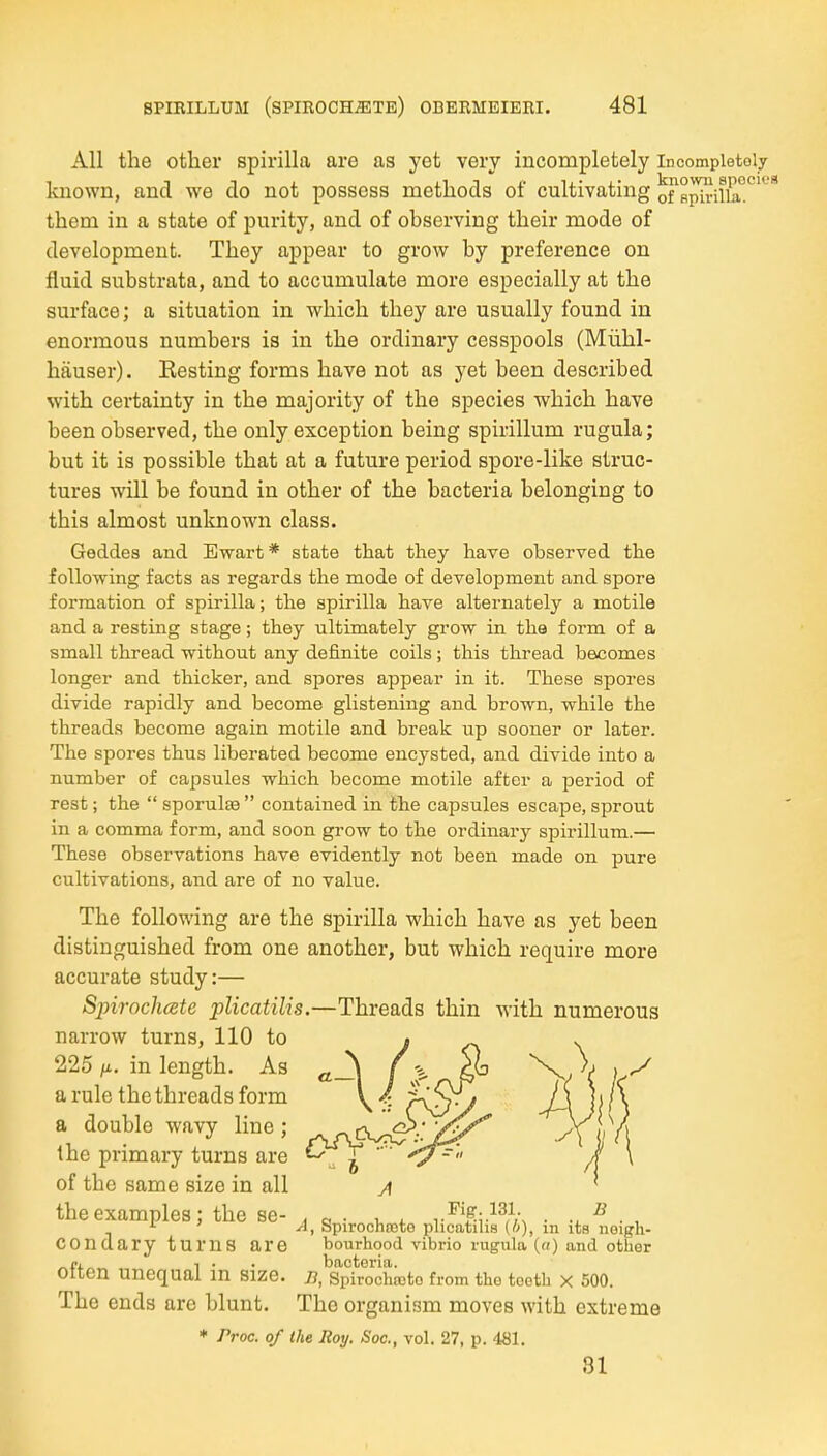 All the other spirilla are as yet very incompletely incompietoly known, and we do not possess methods of cultivating oFspSilia.^'^* them in a state of purity, and of observing their mode of development. They appear to grow by preference on fluid substrata, and to accumulate more especially at the surface; a situation in which they are usually found in enormous numbers is in the ordinary cesspools (Miihl- hfiuser). Besting forms have not as yet been described with certainty in the majority of the species which have been observed, the only exception being spirillum rugula; but it is possible that at a future period spore-like struc- tures will be found in other of the bacteria belonging to this almost unknown class. Geddes and Ewart * state that they have observed the following facts as regards the mode of development and spore formation of spirilla; the spirilla have alternately a motile and a resting stage; they ultimately grow in the form of a small thread without any definite coils ; this thread becomes longer and thicker, and spores appear in it. These spores divide rapidly and become glistening and brown, while the threads become again motile and break up sooner or later. The spores thus liberated become encysted, and divide into a number of capsules which become motile after a period of rest; the  sporulse  contained in the capsules escape, sprout in a comma form, and soon grow to the ordinary spirillum.— These observations have evidently not been made on pure cultivations, and are of no value. The following are the spirilla which have as yet been distinguished from one another, but which require more accurate study:— Spirochcete plicatilis.—Threads thin with numerous narrow turns, 110 to 225 fji. in length. As a rule the threads form a double wavy line ; the primary turns are of the same size in all the examples; the se- , c, • i, * v-^¥;--^^A\ • ^ ■ , ■, Spirochfoto plicatihs (o), m its noigh- COndary turns are bourhood vibrio rugula (a) and other ^f, f . . bacteria. onen unequal m size, n, Spirochioto from the tootii x 500. The ends are blunt. The organism moves with extreme * Proc. of the Roy. Sac, vol. 27, p. 81