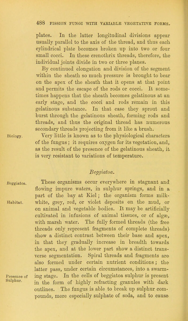 plates. In the latter longitudinal divisions appear usually parallel to the axis of the thread, and thus each cylindrical plate becomes broken up into two or four small cocci. In these crenothrix threads, therefore, the individual joints divide in two or three planes. By continued elongation and division of the segment within the sheath so much pressure is brought to bear on the apex of the sheath that it opens at that point and permits the escape of the rods or cocci. It some- times happens that the sheath becomes gelatinous at an early stage, and the cocci and rods remain in this gelatinous substance. In that case they sprout and burst through the gelatinous sheath, forming rods and threads, and thus the original thread has numerous secondary threads projecting from it like a brush. Biology. Very little is known as to the physiological characters of the fungus ; it requires oxygen for its vegetation, and, as the result of the presence of the gelatinous sheath, it is very resistant to variations of temperature. Beggiatoa. Beggiatoa. Habitat. Presence of Sulphur. These organisms occur everywhere in stagnant and flowing impure waters, in sulphur springs, and in a part of the bay at Kiel; the organism forms milk- white, grey, red, or violet deposits on the mud, or on animal and vegetable bodies. It may be artificially cultivated in infusions of animal tissues, or of algae, with marsh water. The fully formed threads (the free threads only represent fragments of complete threads) show a distinct contrast between their base and apex, in that they gradually increase in breadth towards the apex, and at the lower part show a distinct trans- verse segmentation. Spiral threads and fragments are also formed under certain nutrient conditions; the latter pass, under certain circumstances, into a swarm- ing stage. In the cells of beggiatoa sulphur is present in the form of highly refracting granules with dark outlines. The fungus is able to break up sulphur com- pounds, more especially sulphate of soda, and to cause