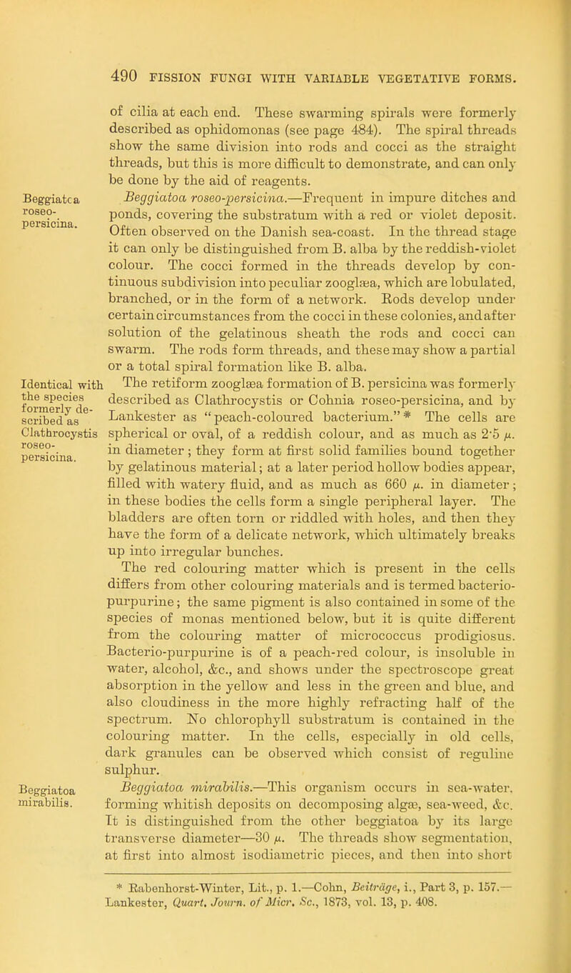 Beggiatca roseo- persicina. Identical with the species formerly de- scribed as Clathrocystis roseo- persicina. Beggiatoa mii-abilis. of cilia at each end. These swarming spirals were formerly described as ophidomonas (see page 484). The spiral threads show the same division into rods and cocci as the straight threads, but this is more difficult to demonstrate, and can only be done by the aid of reagents. Beggiatoa roseo-persicina.—Frequent in impure ditches and ponds, covering the substratum with a red or violet deposit. Often observed on the Danish sea-coast. In the thread stage it can only be distinguished from B. alba by the reddish-violet colour. The cocci formed in the threads develop by con- tinuous subdivision into peculiar zooglaaa, which are lobulated, branched, or in the form of a network. Rods develop under certain circumstances from the cocci in these colonies, and after solution of the gelatinous sheath the rods and cocci can swarm. The rods form threads, and these may show a partial or a total spiral formation like B. alba. The retiform zooglsea formation of B. persicina was formerly described as Clathrocystis or Cohnia roseo-persicina, and hy Lankester as  peach-coloured bacterium. * The cells are spherical or oval, of a reddish colour, and as much as 2'5 yu. in diameter ; they form at first solid families bound together by gelatinous material; at a later period hollow bodies appear, filled with watery fluid, and as much as 660 fi. in diameter; in these bodies the cells form a single peripheral layer. The bladders are often torn or riddled with holes, and then they have the form of a delicate network, which ultimately breaks up into irregular bunches. The red colouring matter which is present in the cells differs from other colouring materials and is termed bacterio- purpurine; the same pigment is also contained in some of the species of monas mentioned below, but it is quite different from the colouring matter of micrococcus prodigiosus. Bacterio-purpurine is of a peach-red colour, is insoluble in water, alcohol, &c., and shows under the spectroscope great absorption in the yellow and less in the green and blue, and also cloudiness in the more highly refracting half of the spectrum. No chlorophyll substratum is contained in the colouring matter. In the cells, especially in old cells, dark granules can be observed which consist of regulinc sulphur. Beggiatoa mirahilis.—This organism occurs in sea-water, forming whitish deposits on decomposing algas, sea-weed, &c. It is distinguished from the other beggiatoa b}' its large transverse diameter—30 /x. The threads show segmentation, at first into almost isodiametric pieces, and then into short * Eabenhorst-Winter, Lit., p. 1.—Cohn, Bcitrage, i., Part 3, p. 157.— Lankester, Quart, Journ. of Micr, Sc., 1873, vol. 13, p. 408.