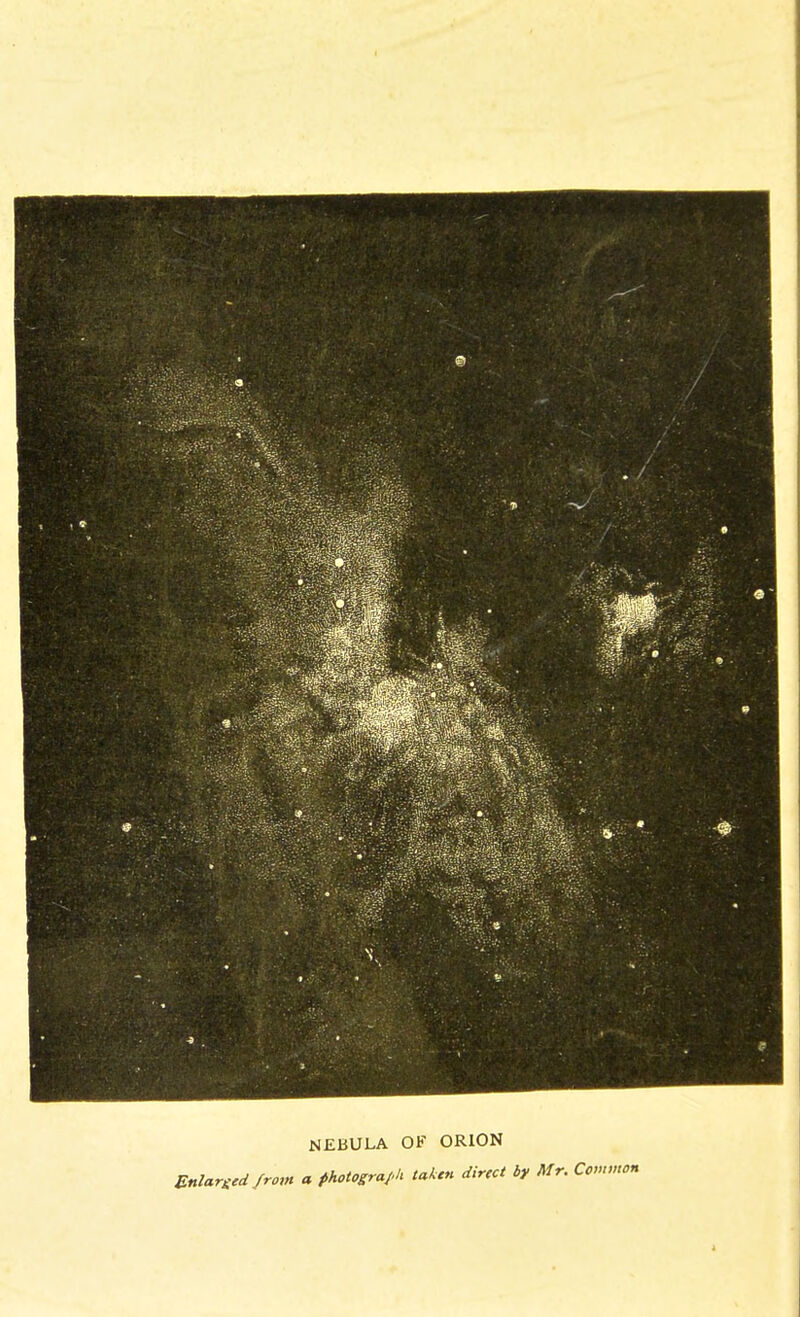 NEBULA OE ORION Enlarged from a photograjdi takm direct bv Mr. Common