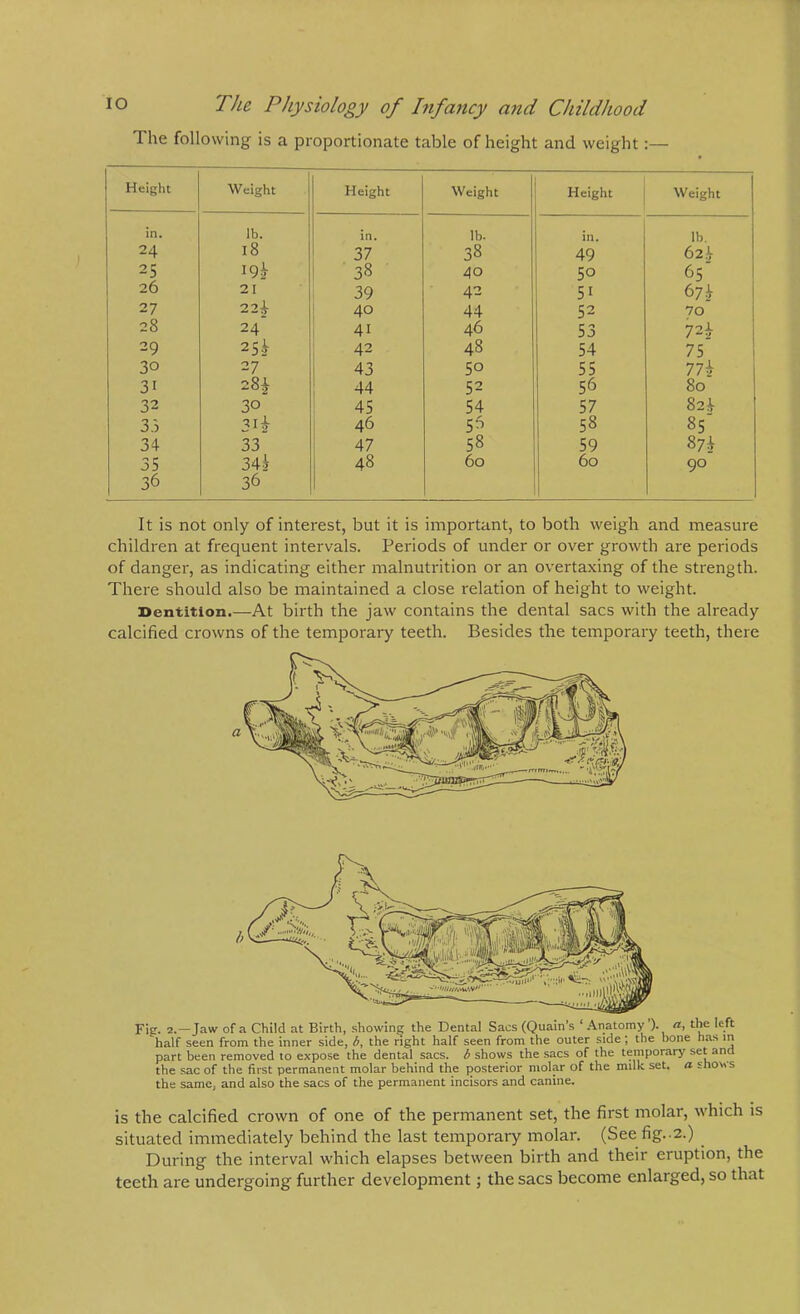 The following is a proportionate table of height and weight:— Height Weight Height Weight Height Weight in. lb. in. lb. in. lb. 24 18 37 38 49 62.3 25 38 40 50 65 1 26 21 39 42 51 67^ 1 27 22^ 40 44 52 70 j 28 24 41 46 53 72i 29 25.V 42 48 54 75 i 30 27 43 50 55 Ilk 31 28i 44 52 56 80 32 30 45 54 57 82* 33 31^ i 46 5^ 58 85 34 33 : 47 58 59 m 35 34| 48 60 60 90 36 36 It is not only of interest, but it is important, to both weigh and measure children at frequent intervals. Periods of under or over growth are periods of danger, as indicating either malnutrition or an overtaxing of the strength. There should also be maintained a close relation of height to weight. Dentition.—At birth the jaw contains the dental sacs with the already calcified crowns of the temporary teeth. Besides the temporary teeth, there Fig. 2.—Jaw of a Child at Birth, showing the Dental Sacs (Quain’s ‘ Anatomy ). ft, the left half seen from the inner side, b, the right half seen from the outer side; the bone h.as in part been removed to expose the dental sacs, b shows the sacs of the temporary set and the sac of the first permanent molar behind the posterior molar of the milk set. a Eno\>s the same, and also the sacs of the permanent incisors and canine. is the calcified crown of one of the permanent set, the first molar, which is situated immediately behind the last temporary molar. (See fig.-2.) During the interval which elapses between birth and their eruption, the teeth are undergoing further development; the sacs become enlarged, so that