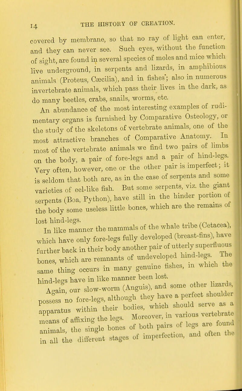 covered by membrane, so that no ray of light can enter, and they can never see. Such eyes, withoufc the funetion of sight, are found in several species of moles and mice which live Underground, in serpents and lizards, in amphibious animals (Proteus, Ca3cilia), and in fishes; also in numerous invertebrate animals, which pass their lives in the dark, as do many beetles, crabs, snails, worms, etc. An abundance of the most interesting examples of rudi- mentary organs is furnished by Comparative Osteology, or the study of the skeletons of vertebrate animals, one of the most attractive branches of Comparative Anatomy. In most of the vertebrate animals we find two pairs of limbs on the body, a pair of fore-legs and a pair of hind-legs Very often, however, one or the other pair is imperfect; it is seldcm that both are, as in the case of serpents and some varieties of eel-like fish. Bat some serpents, viz. the giant serpents (Boa, Python), have still in the hinder partum at the body some useless little bones, which are the remains of lost hind-legs. In like manner the mammals of the whale tnbe (Cetacea), which have only fore-legs fully developed (breast-fins) have further back in their body another pair of utterly superfluous bones, which are remnants of undeveloped hmd-legs. The same thing occurs in many genuine fishes, m which tbe hind-legs have in like manner been lost. Agail, our slow-worm (Anguis), and some other hzards nossess no fore-legs, although they have a perfect shouldei r.aX within their bodies, which should serve as a animals, the single bones of both pan-s of legs, „ ^ und in all the different stages of imperfection, and often