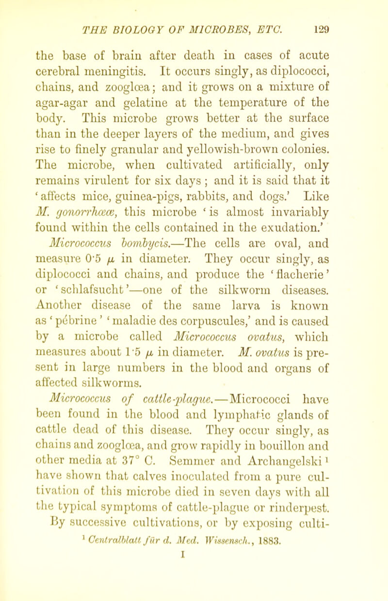 the base of brain after death in cases of acute cerebral meningitis. It occurs singly, as diplococci, chains, and zoogloea; and it grows on a mixture of agar-agar and gelatine at the temperature of the body. This microbe grows better at the surface than in the deeper layers of the medium, and gives rise to finely granular and yellowish-brown colonies. The microbe, when cultivated artificially, only remains virulent for six days ; and it is said that it ' affects mice, guinea-pigs, rabbits, and dogs.' Like M. gonorrhcece, this microbe ' is almost invariably found within the cells contained in the exudation.' Micrococms hombycis.—The cells are oval, and measure 0'5 /x in diameter. They occur singly, as diplococci and chains, and produce the ' fiacherie' or ' schlafsucht'—one of the silkworm diseases. Another disease of the same larva is known as ' pebrine ' ' maladie des corpuscules,' and is caused by a microbe called Micrococcus ovatus, which measures about 1 -5 /a in diameter. M. ovatus is pre- sent in large numbers in the blood and organs of affected silkworms. Micrococcus of cattle-plague.—Micrococci have been found in the blood and lymphatic glands of cattle dead of this disease. They occur singly, as chains and zoogloea, and grow rapidly in bouillon and other media at 37° C. Semmer and Archangelski ^ have shown that calves inoculated from a pure cul- tivation of this microbe died in seven days with all the typical symptoms of cattle-plague or rinderpest. By successive cultivations, or by exposing culti- ^ Cenlralblatt fur d. Med. Wisserisch., 1883. I