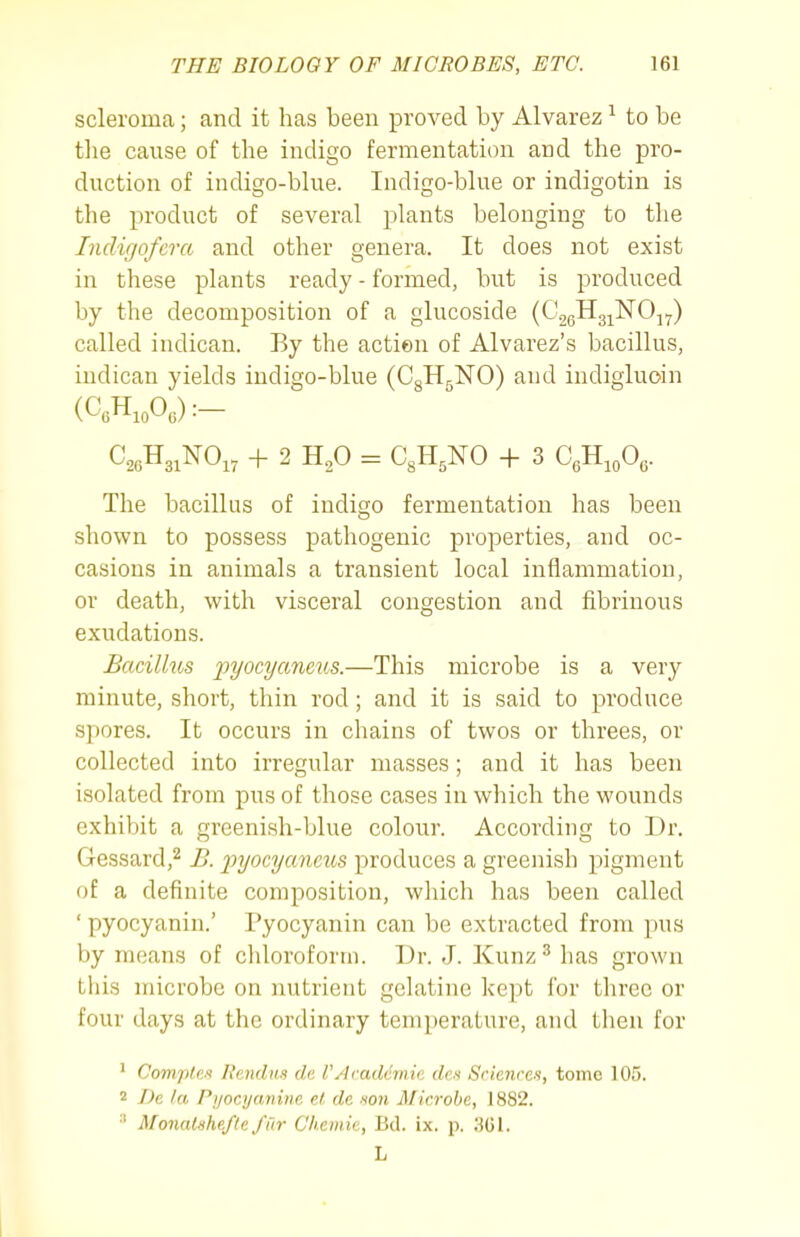 scleroma; and it has been proved by Alvarez ^ to be the cause of the indigo fermentation and the pro- duction of indigo-blue. Indigo-blue or indigotin is the product of several plants belonging to the Indigofcra and other genera. It does not exist in these plants ready - formed, but is produced by the decomposition of a glucoside (CgoHg^^NOj^) called indican. By the action of Alvarez's bacillus, iudican yields indigo-blue (CgHgNO) and indigluoin (CcH.oOo) :- C20H31NO,, + 2 H„0 = C^H.NO + 3 C,H,oO,. The bacillus of indigo fermentation has been shown to possess pathogenic properties, and oc- casions in animals a transient local inflammation, or death, with visceral congestion and fibrinous exudations. Bacilhis pyocyaneus.—This microbe is a very minute, short, thin rod ; and it is said to produce spores. It occurs in chains of twos or threes, or collected into irregular masses; and it has been isolated from pus of those cases in which the wounds exhibit a greenish-blue colour. According to Dr. Gessard,^ B. pyocyaneus produces a greenish pigment of a definite composition, wliich has been called ' pyocyanin.' Pyocyanin can be extracted from pus by nKjans of cliloroforrn. Dr. J. Kunz ^ has grown tills microbe on nutrient gelatine kept for three or four days at the ordinary temperature, and then for ' Complex Uendas dc Academic, den Sciences, tome 105. 2 De la Pyocyanine et de son Microbe, 1882. ^ Monalshefte fiir Chcmie, Bd. ix. p. .SGI. L
