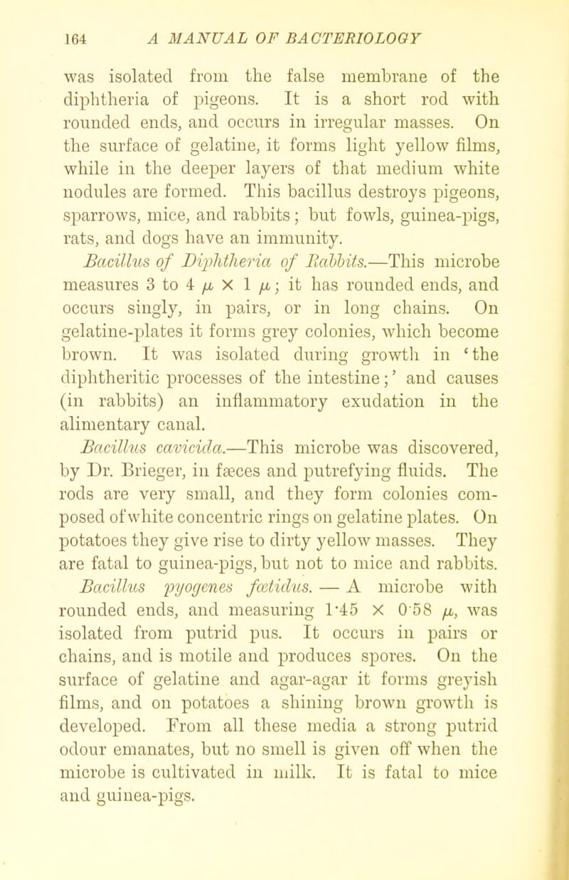 was isolated from the false membrane of the diphtheria of pigeons. It is a short rod with rounded ends, and occurs in irregular masses. On the surface of gelatine, it forms light yellow films, while in the deeper layers of that medium white nodules are formed. This bacillus destroys pigeons, sparrows, mice, and rabbits ; but fowls, guinea-pigs, rats, and dogs have an immunity. Bacillus of Dij)linieria of RaUbits.—This microbe measures 3 to 4 yu, X 1 yu-; it has rounded ends, and occurs singly, in pairs, or in long chains. On gelatine-plates it forms grey colonies, which become brown. It was isolated during growth in ' the diphtheritic processes of the intestine;' and causes (in rabbits) an inflammatory exudation in the alimentary canal. Bacillus cavicida.—This microbe was discovered, by Dr. Brieger, in fseces and putrefying fluids. The rods are very small, and they form colonies com- posed of white concentric rings on gelatine plates. On potatoes they give rise to dirty yellow masses. They are fatal to guinea-pigs, but not to mice and rabbits. Bacillus pyogenes fcetidiis. — A microbe with rounded ends, and measuring r45 X 0 58 yu,, was isolated from putrid pus. It occurs in pairs or chains, and is motile and produces spores. On the surface of gelatine and agar-agar it forms greyish films, and on potatoes a shining brown growth is developed. From all these media a strong putrid odour emanates, but no smell is given off when the microbe is cultivated in milk. It is fatal to mice and guinea-pigs.