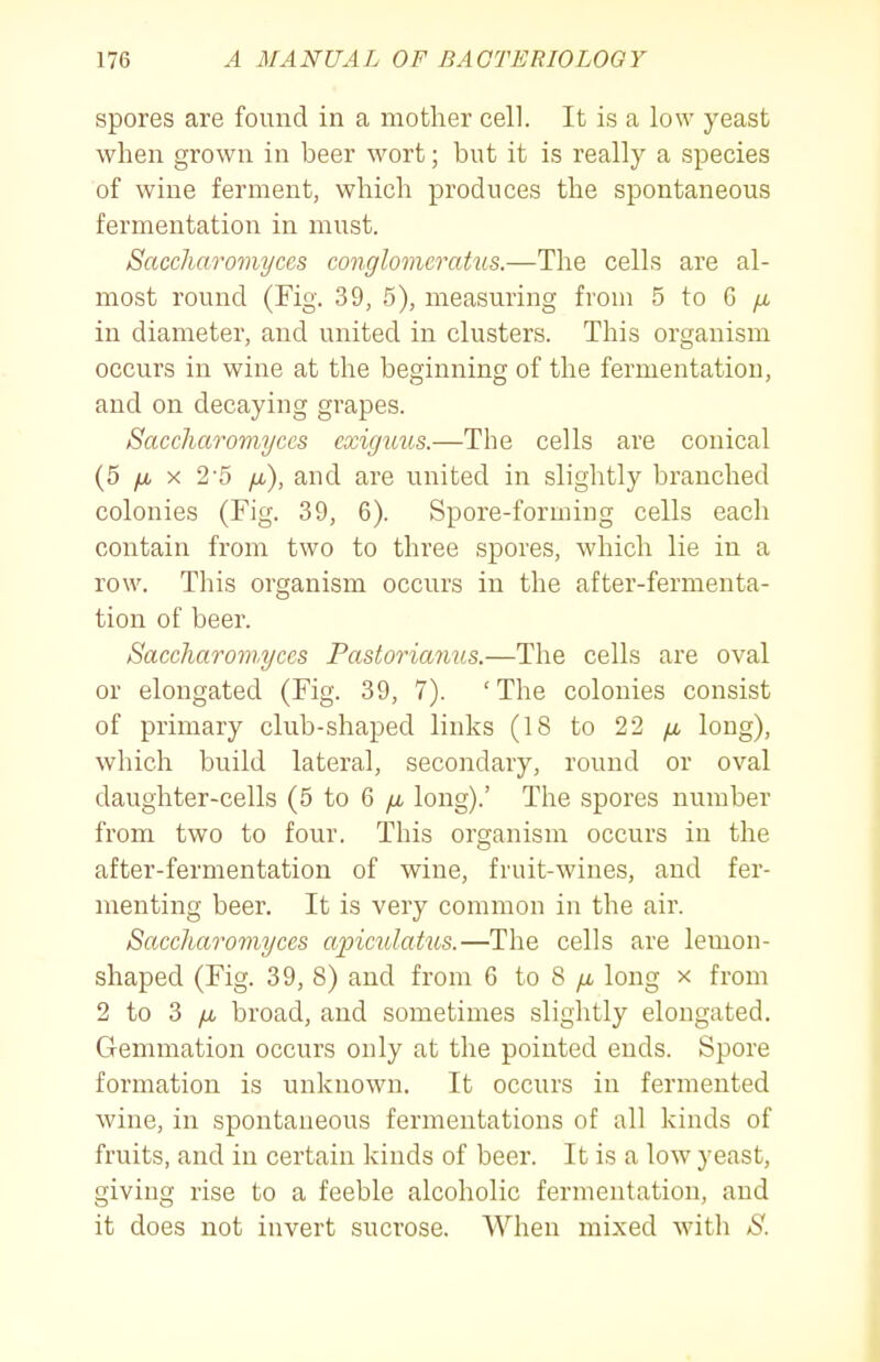 spores are found in a mother cell. It is a low yeast when grown in beer wort; but it is really a species of wine ferment, which produces the spontaneous fermentation in must. Saccharomyces conglomeratus.—The cells are al- most round (Fig. 39, 5), measuring from 5 to G ^ in diameter, and united in clusters. This organism occurs in wine at the beginning of the fermentation, and on decaying grapes. Saccharomyccs cxiguus.—The cells are conical (5 yu, X 25 fx), and are united in slightly branched colonies (Fig. 39, 6). Spore-forming cells each contain from two to three spores, which lie in a row. This organism occurs in the after-fermenta- tion of beer. Saccharomyces Pastorianus.—The cells are oval or elongated (Fig. 39, 7). 'The colonies consist of primary club-shaped links (18 to 22 /j, long), which build lateral, secondary, round or oval daughter-cells (5 to 6 yu, long).' The spores number from two to four. This organism occurs in the after-fermentation of wine, fruit-wines, and fer- menting beer. It is very common in the air. Saccharomyces apiculatus.—The cells are lemon- shaped (Fig. 39, 8) and from 6 to 8 /a long x from 2 to 3 broad, and sometimes slightly elongated. Gemmation occurs only at the pointed ends. Spore formation is unknown. It occurs in fermented wine, in spontaneous fermentations of all kinds of fruits, and in certain kinds of beer. It is a low yeast, giving rise to a feeble alcoholic fermentation, and it does not invert sucrose. When mixed with S.