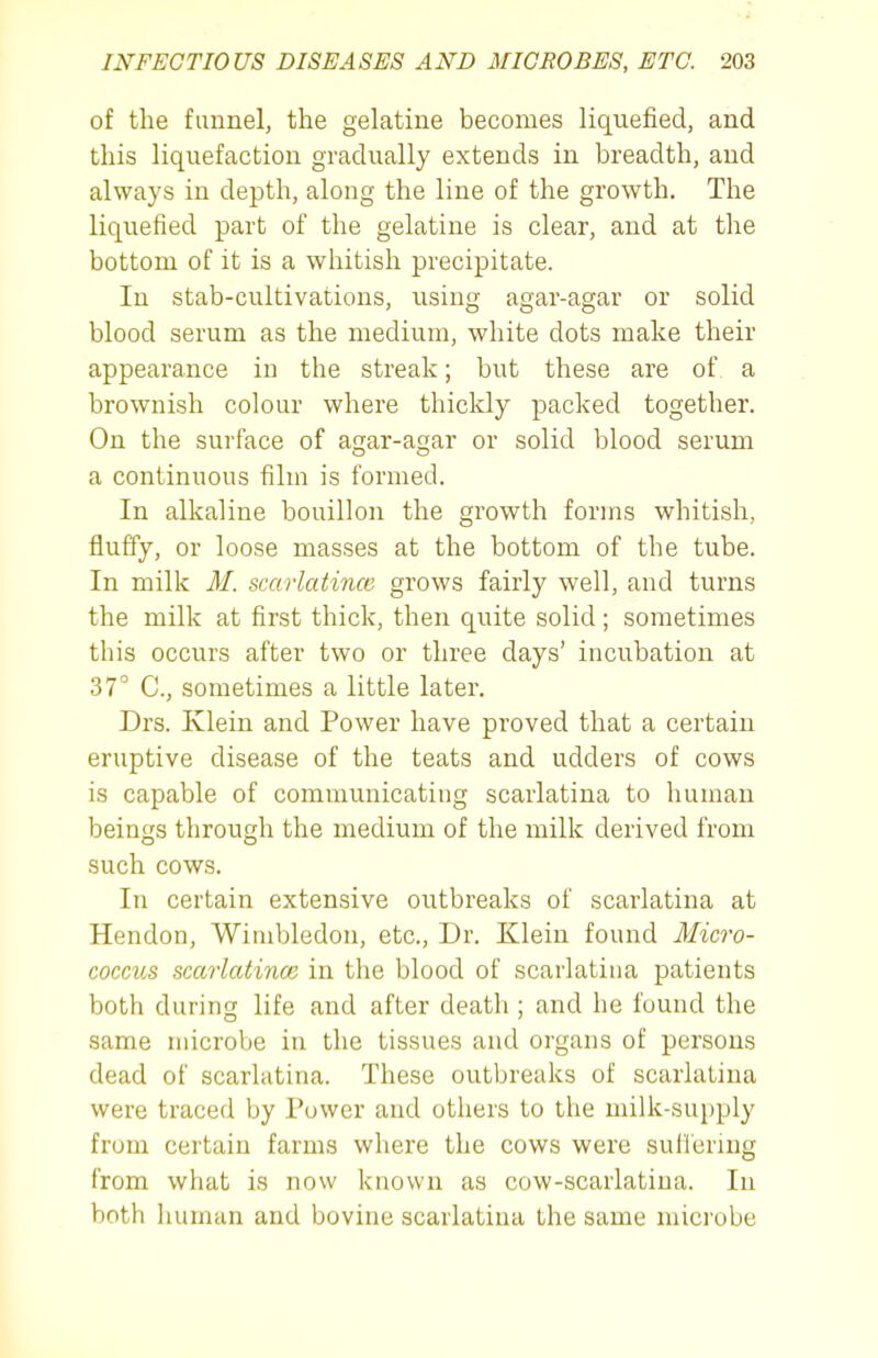 of the funnel, the gelatine becomes liquefied, and this liquefaction gradually extends in breadth, and always in depth, along the line of the growth. The liquefied part of the gelatine is clear, and at the bottom of it is a whitish precipitate. In stab-cultivations, using agar-agar or solid blood serum as the medium, white dots make their appearance in the streak; but these are of a brownish colour where thickly packed together. On the surface of ajrar-a^ar or solid blood serum a continuous film is formed. In alkaline bouillon the growth forms whitish, fluffy, or loose masses at the bottom of the tube. In milk M. scarlatince grows fairly well, and turns the milk at first thick, then quite solid; sometimes this occurs after two or three days' incubation at 37° C, sometimes a little later. Drs. Klein and Power have proved that a certain eruptive disease of the teats and udders of cows is capable of communicating scarlatina to human beings through the medium of the milk derived from such cows. In certain extensive outbreaks of scarlatina at Hendon, Wimbledon, etc., Dr. Klein found Micro- coccus scarlatince in the blood of scarlatina patients both during life and after death ; and he found the same microbe in the tissues and organs of persons dead of scarlatina. These outbreaks of scarlatina were traced by Power and others to the milk-supply from certain farms where the cows were suHenng from what is now known as cow-scarlatina. In both human and bovine scarlatina the same mici'obe