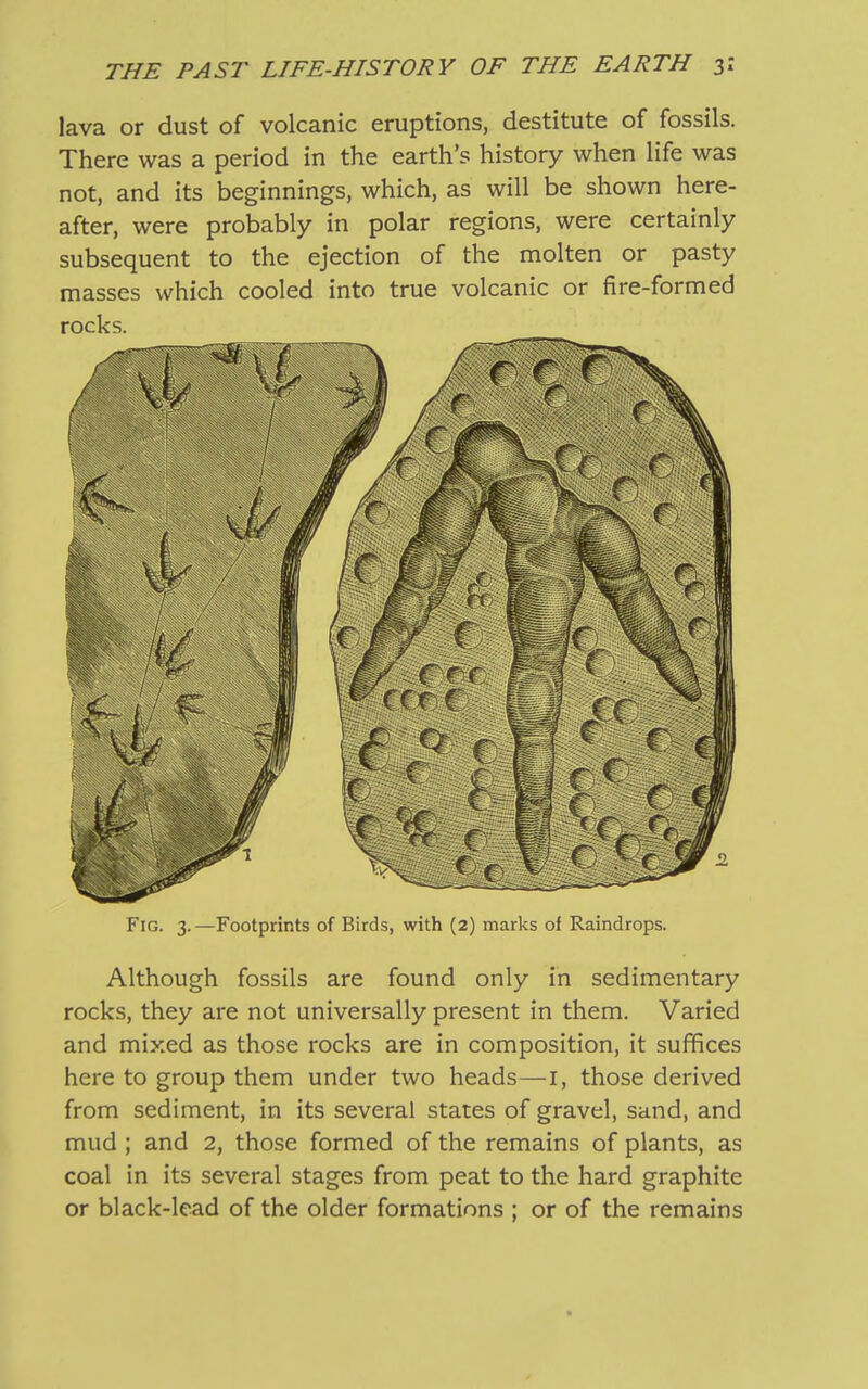 lava or dust of volcanic eruptions, destitute of fossils. There was a period in the earth’s history when life was not, and its beginnings, which, as will be shown here- after, were probably in polar regions, were certainly subsequent to the ejection of the molten or pasty masses which cooled into true volcanic or fire-formed rocks. Fig. 3.—Footprints of Birds, with (2) marks of Raindrops. Although fossils are found only in sedimentary rocks, they are not universally present in them. Varied and mixed as those rocks are in composition, it suffices here to group them under two heads—1, those derived from sediment, in its several states of gravel, sand, and mud ; and 2, those formed of the remains of plants, as coal in its several stages from peat to the hard graphite or black-lead of the older formations ; or of the remains