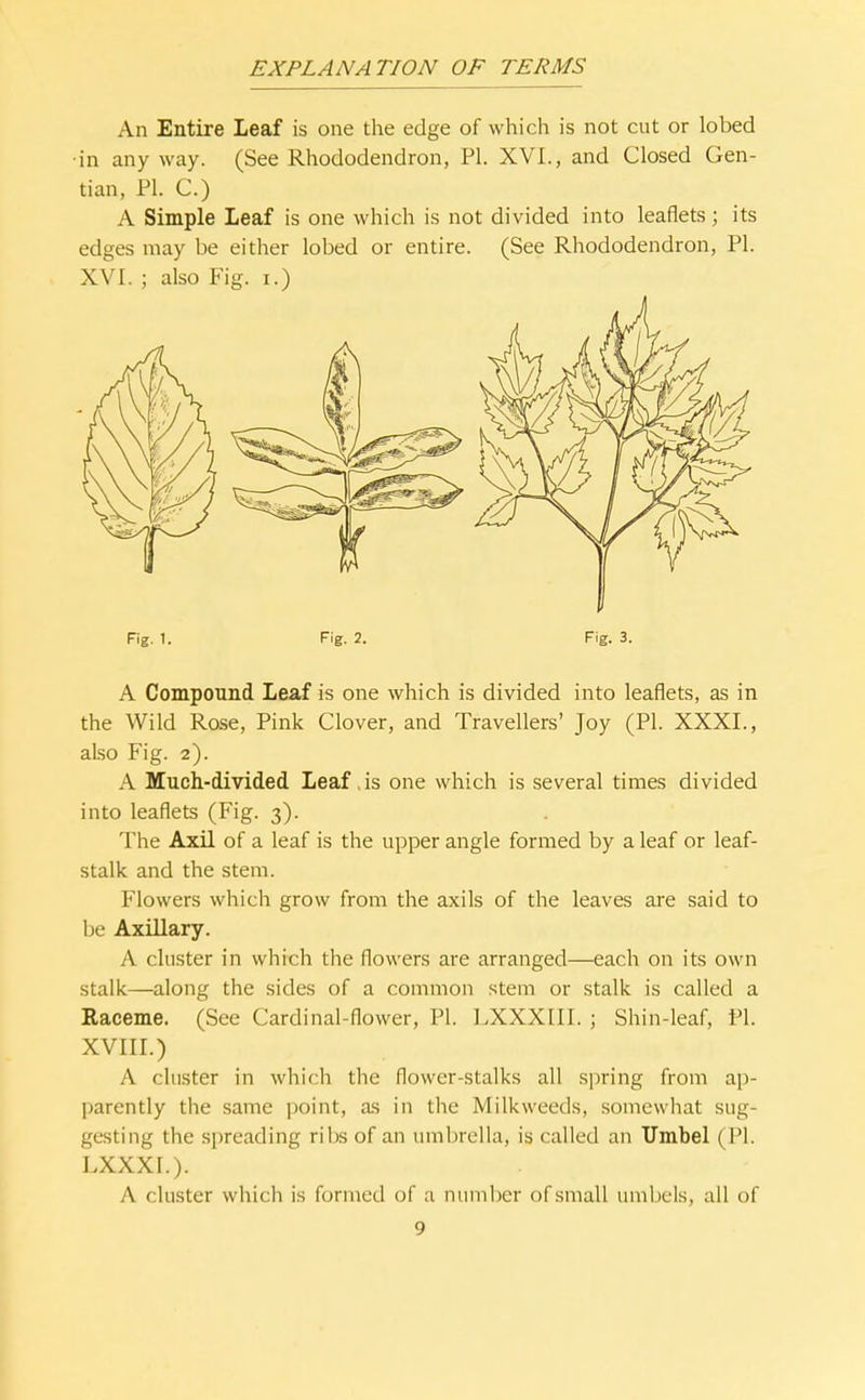 An Entire Leaf is one the edge of which is not cut or lobed •in anyway. (See Rhododendron, PI. XVI., and Closed Gen- tian, PI. C.) A Simple Leaf is one which is not divided into leaflets ; its edges may be either lobed or entire. (See Rhododendron, PI. XVI. ; also Fig. i.) Fig. 1. Fig. 2. Fig. 3. A Compound Leaf is one which is divided into leaflets, as in the Wild Rose, Pink Clover, and Travellers' Joy (PI. XXXI., also Fig. 2). A Much-divided Leaf, is one which is several times divided into leaflets (Fig. 3). The Axil of a leaf is the upper angle formed by a leaf or leaf- stalk and the stem. Flowers which grow from the axils of the leaves are said to be Axillary. A cluster in which the flowers are arranged—each on its own stalk—along the sides of a common stem or stalk is called a Raceme. (See Cardinal-flower, PI. LXXXIII. ; Shin-leaf, PI. XVIII.) A cluster in which the flower-stalks all spring from ap- parently the same point, as in the Milkweeds, somewhat sug- gesting the spreading ribs of an umbrella, is called an Umbel (PI. LXXXI.). A cluster which is formed of a niunber of small umbels, all of