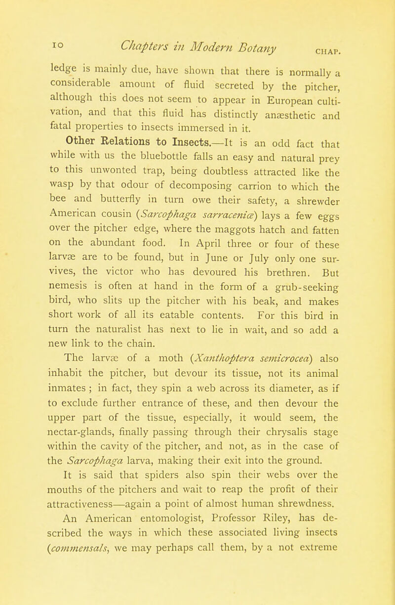 ledge is mainly due, have shown that there is normally a considerable amount of fluid secreted by the pitcher, although this does not seem to appear in European culti- vation, and that this fluid has distinctly anjEsthetic and fatal properties to insects immersed in it. Other Relations to Insects.—It is an odd fact that while with us the bluebottle falls an easy and natural prey to this unwonted trap, being doubtless attracted like the wasp by that odour of decomposing carrion to which the bee and butterfly in turn owe their safety, a shrewder American cousin {Sarcophaga sarracenice) lays a few eggs over the pitcher edge, where the maggots hatch and fatten on the abundant food. In April three or four of these larvte are to be found, but in June or July only one sur- vives, the victor who has devoured his brethren. But nemesis is often at hand in the form of a grub-seeking bird, who slits up the pitcher with his beak, and makes short work of all its eatable contents. For this bird in turn the naturalist has next to lie in wait, and so add a new link to the chain. The larvEe of a moth {Xanthoptera semicrocea) also inhabit the pitcher, but devour its tissue, not its animal inmates ; in fact, they spin a web across its diameter, as if to exclude further entrance of these, and then devour the upper part of the tissue, especially, it would seem, the nectar-glands, finally passing through their chrysalis stage within the cavity of the pitcher, and not, as in the case of the Sarcophaga larva, making their exit into the ground. It is said that spiders also spin their webs over the mouths of the pitchers and wait to reap the profit of their attractiveness—again a point of almost human shrewdness. An American entomologist, Professor Riley, has de- scribed the ways in which these associated living insects {commensah, we may perhaps call them, by a not extreme