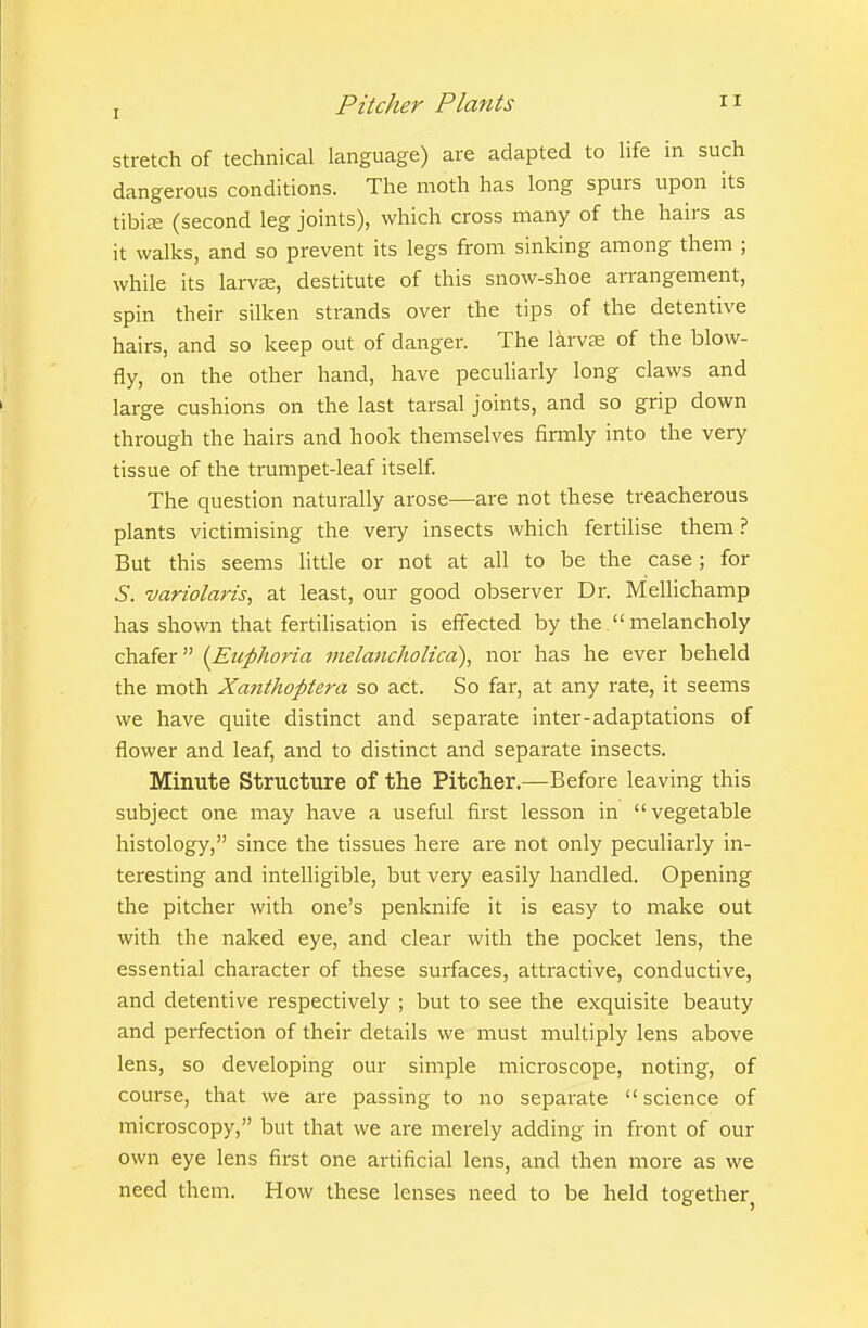 stretch of technical language) are adapted to life in such dangerous conditions. The moth has long spurs upon its tibiffi (second leg joints), which cross many of the hairs as it walks, and so prevent its legs from sinking among them ; while its larvse, destitute of this snow-shoe arrangement, spin their silken strands over the tips of the detentive hairs, and so keep out of danger. The larvae of the blow- fly, on the other hand, have pecuHarly long claws and large cushions on the last tarsal joints, and so grip down through the hairs and hook themselves firmly into the very tissue of the trumpet-leaf itself The question naturally arose—are not these treacherous plants victimising the very insects which fertilise them But this seems little or not at all to be the case; for .S. variolaris, at least, our good observer Dr. Mellichamp has shown that fertilisation is effected by the. melancholy chafer {Euphoria melaticholica), nor has he ever beheld the moth Xmithoptera so act. So far, at any rate, it seems we have quite distinct and separate inter-adaptations of flower and leaf, and to distinct and separate insects. Minute Structure of the Pitcher.—Before leaving this subject one may have a useful first lesson in vegetable histology, since the tissues here are not only peculiarly in- teresting and intelhgible, but very easily handled. Opening the pitcher with one's penknife it is easy to make out with the naked eye, and clear with the pocket lens, the essential character of these surfaces, attractive, conductive, and detentive respectively ; but to see the exquisite beauty and perfection of their details we must multiply lens above lens, so developing our simple microscope, noting, of course, that we are passing to no separate science of microscopy, but that we are merely adding in front of our own eye lens first one artificial lens, and then more as we need them. How these lenses need to be held together^